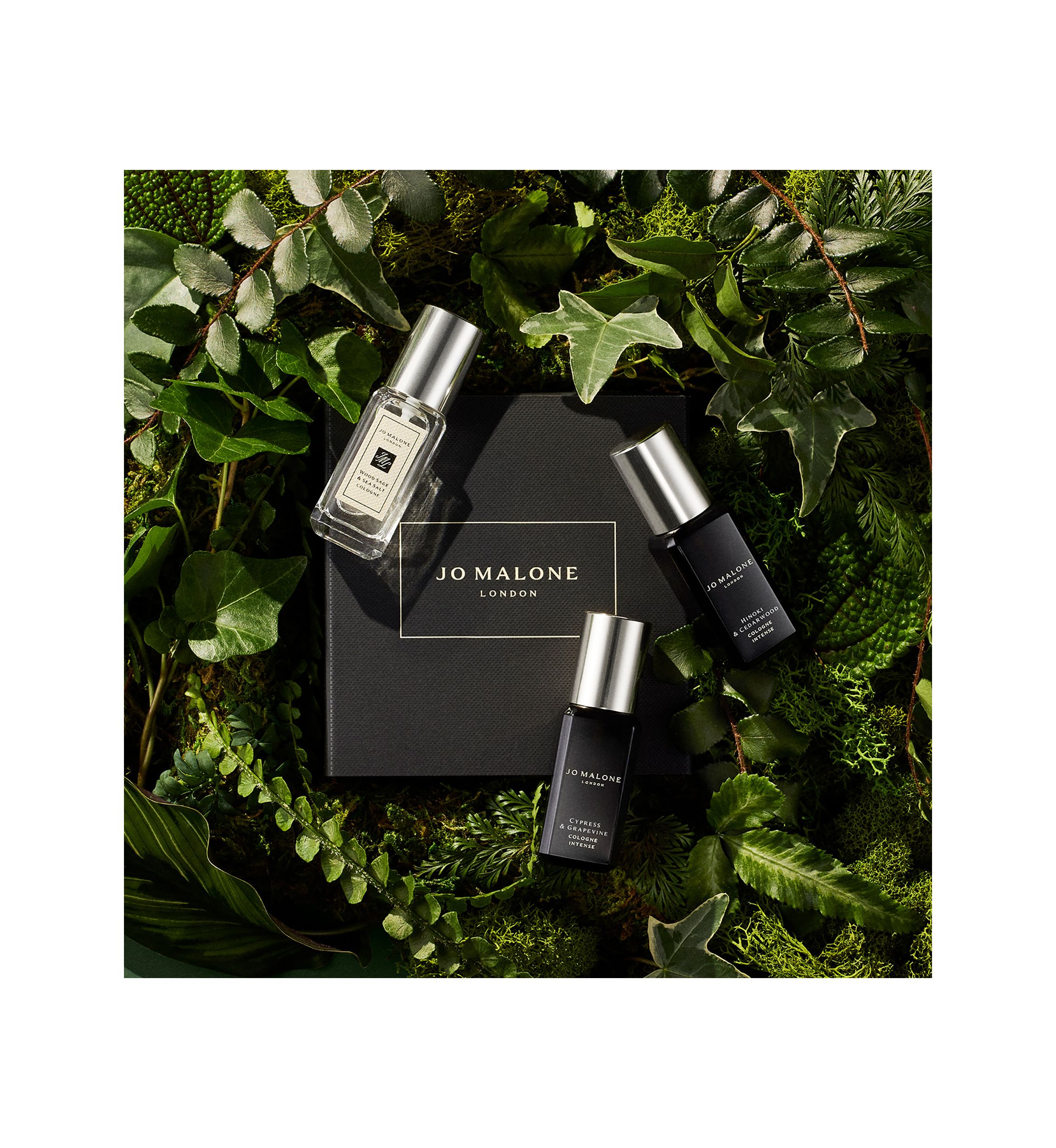 Mini Woody Cologne Intense 3-Piece Gift Set - $90 Value!