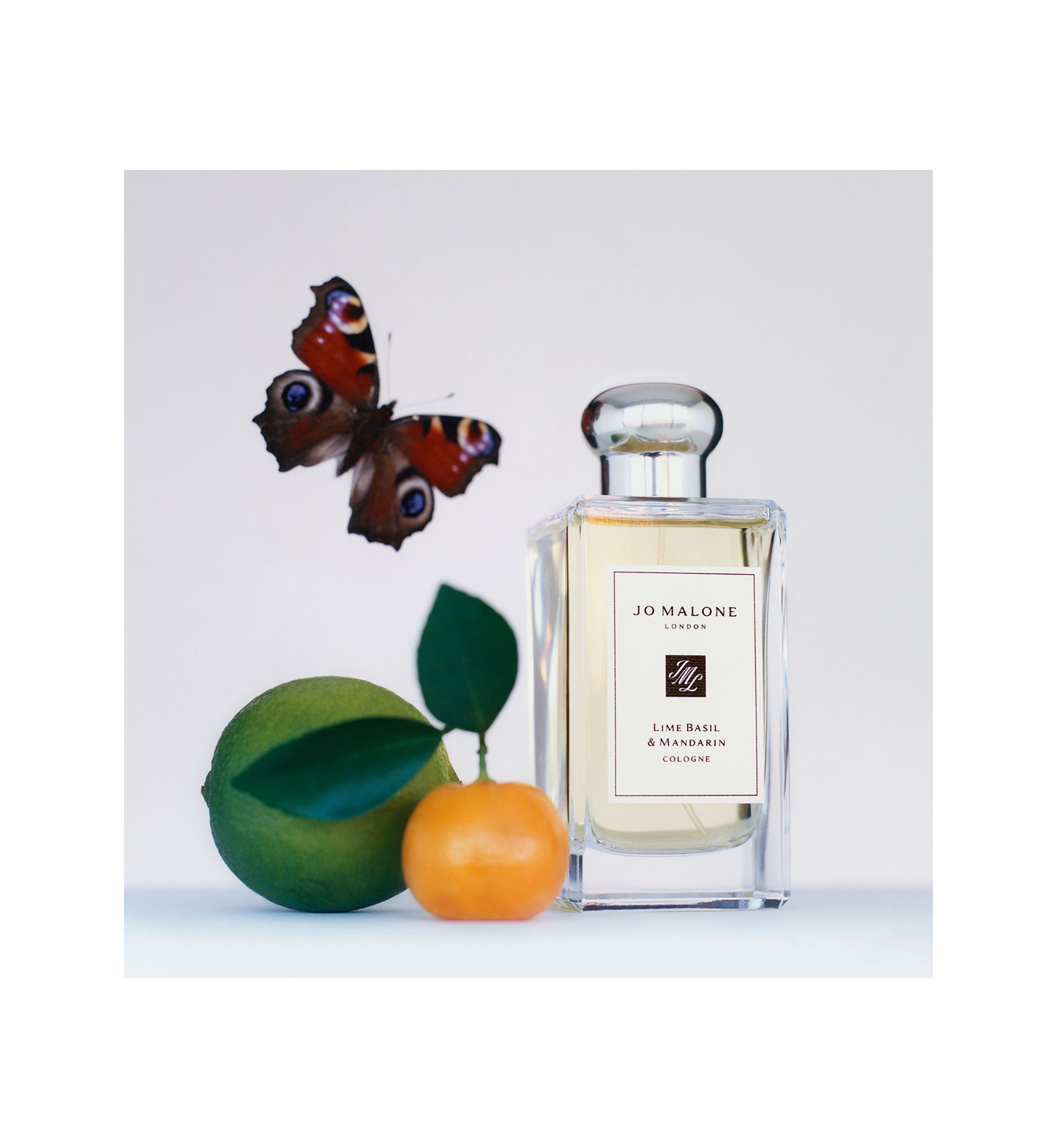 Lime Basil & Mandarin Cologne