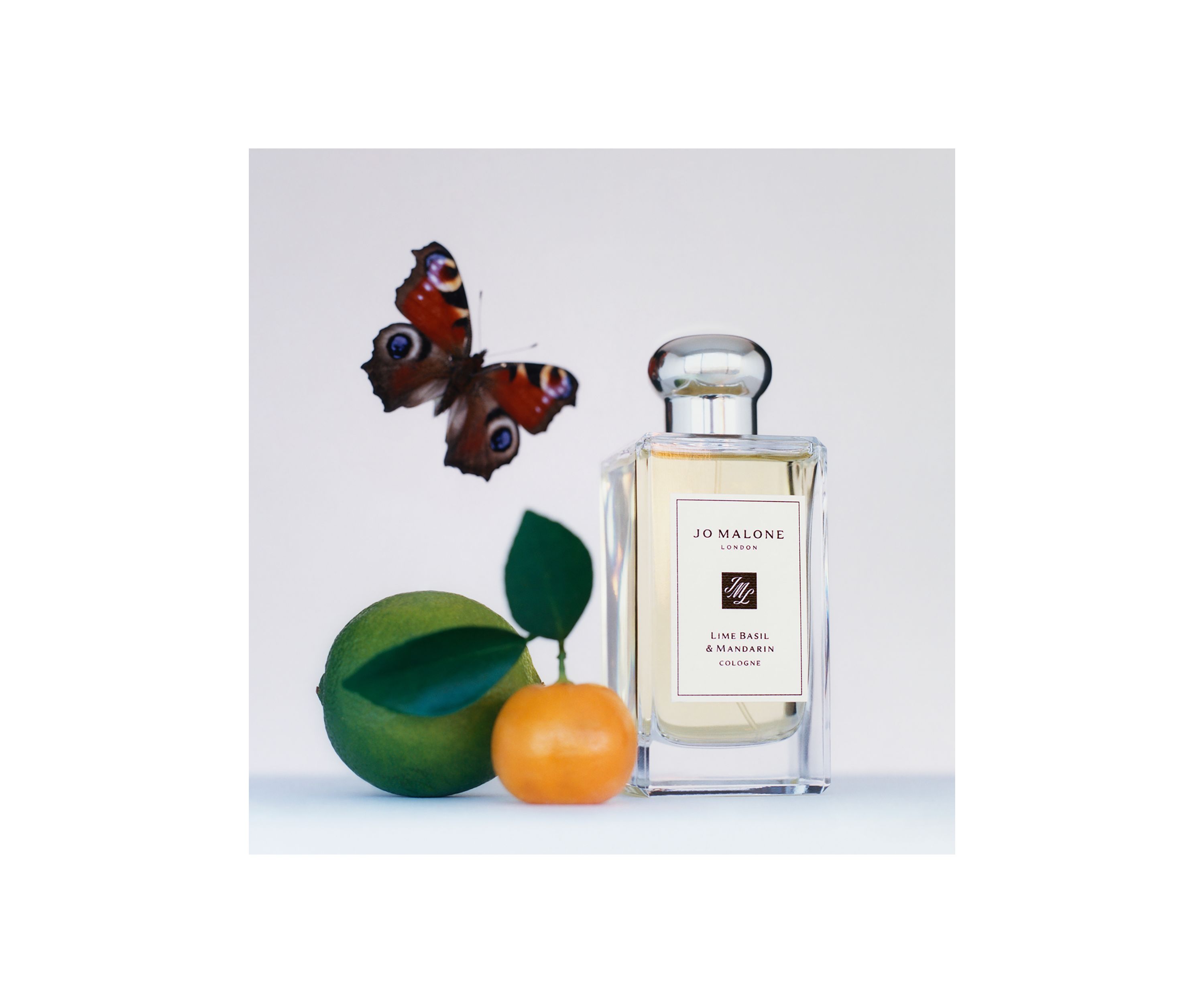 Lime Basil & Mandarin Cologne