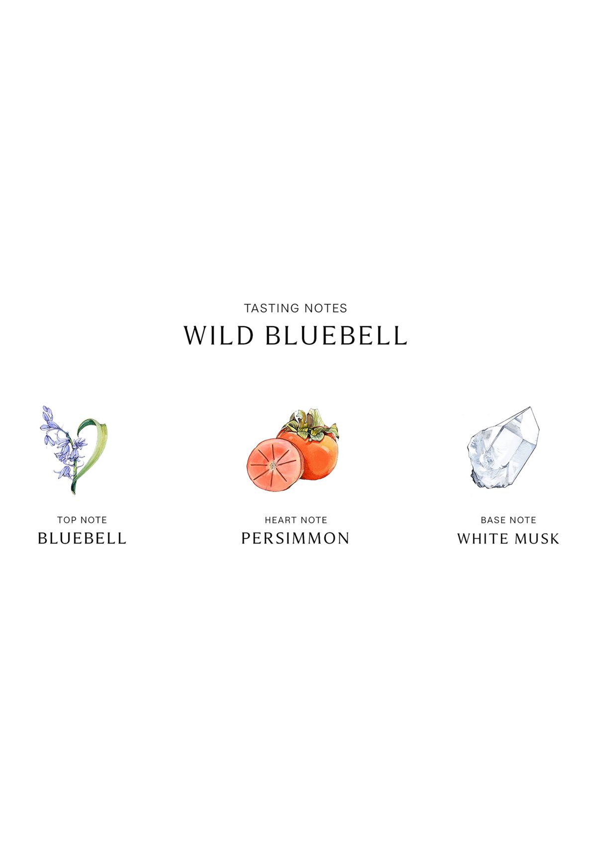 Wild Bluebell Body & Hand Wash