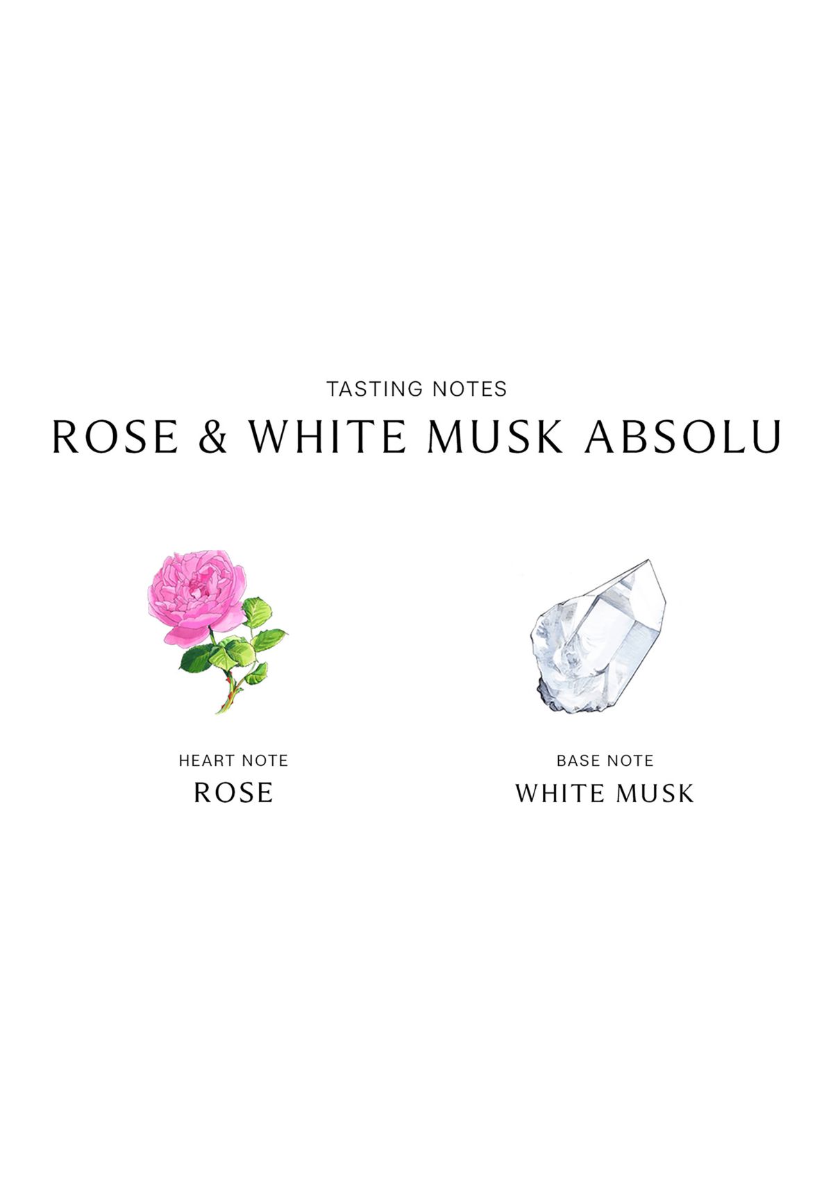 Rose & White Musk Absolu