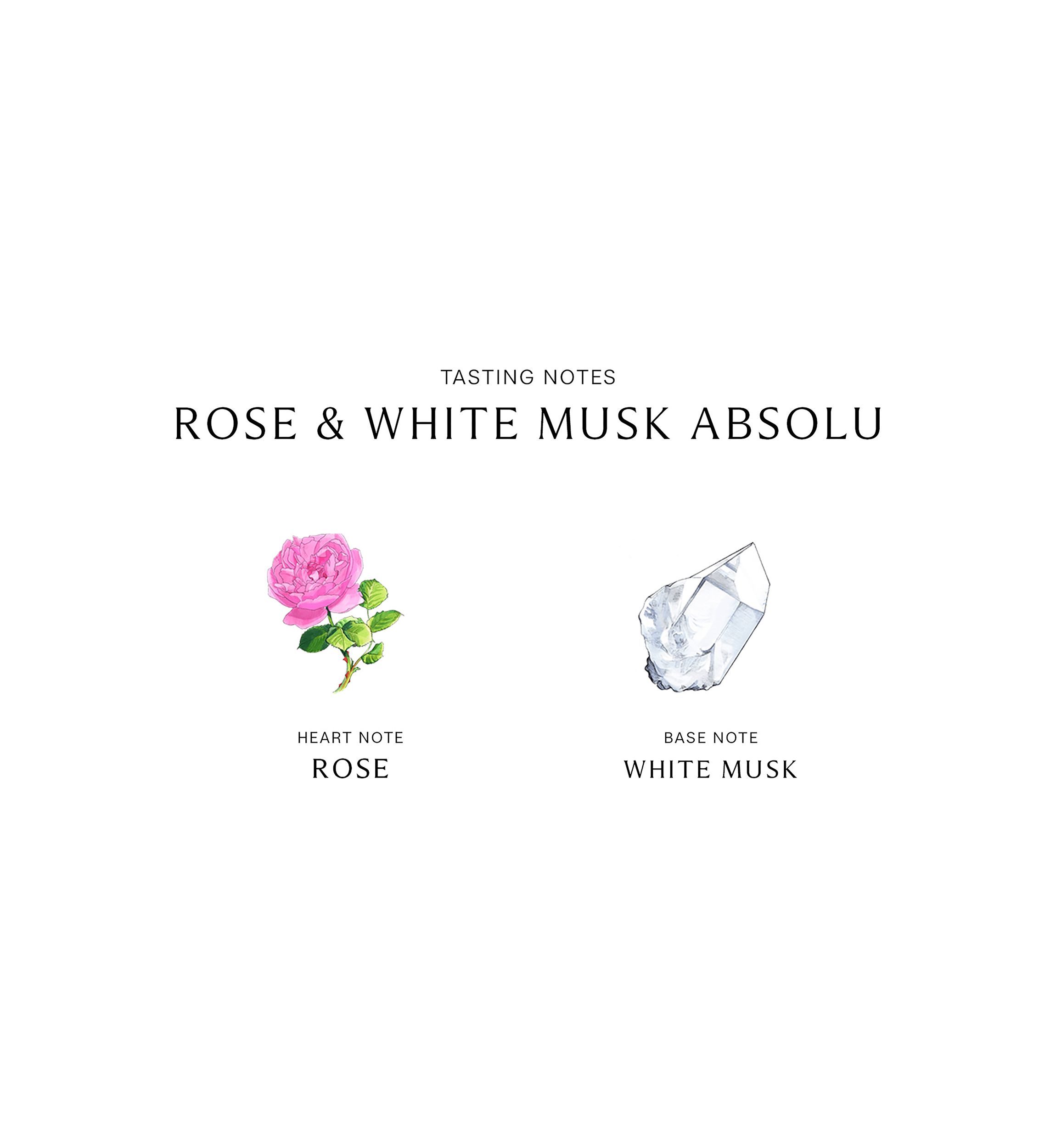 Rose & White Musk Absolu