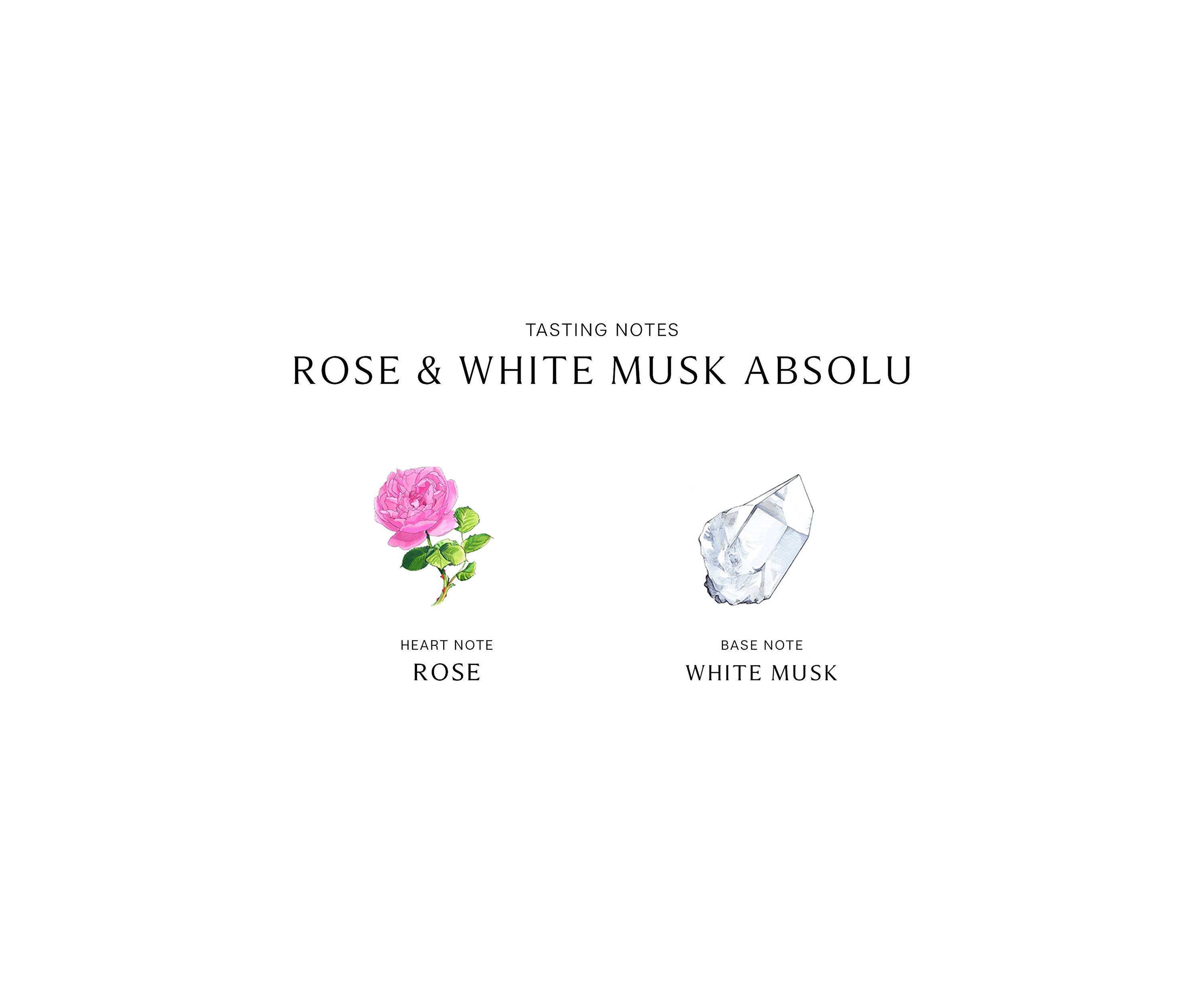 Rose & White Musk Absolu