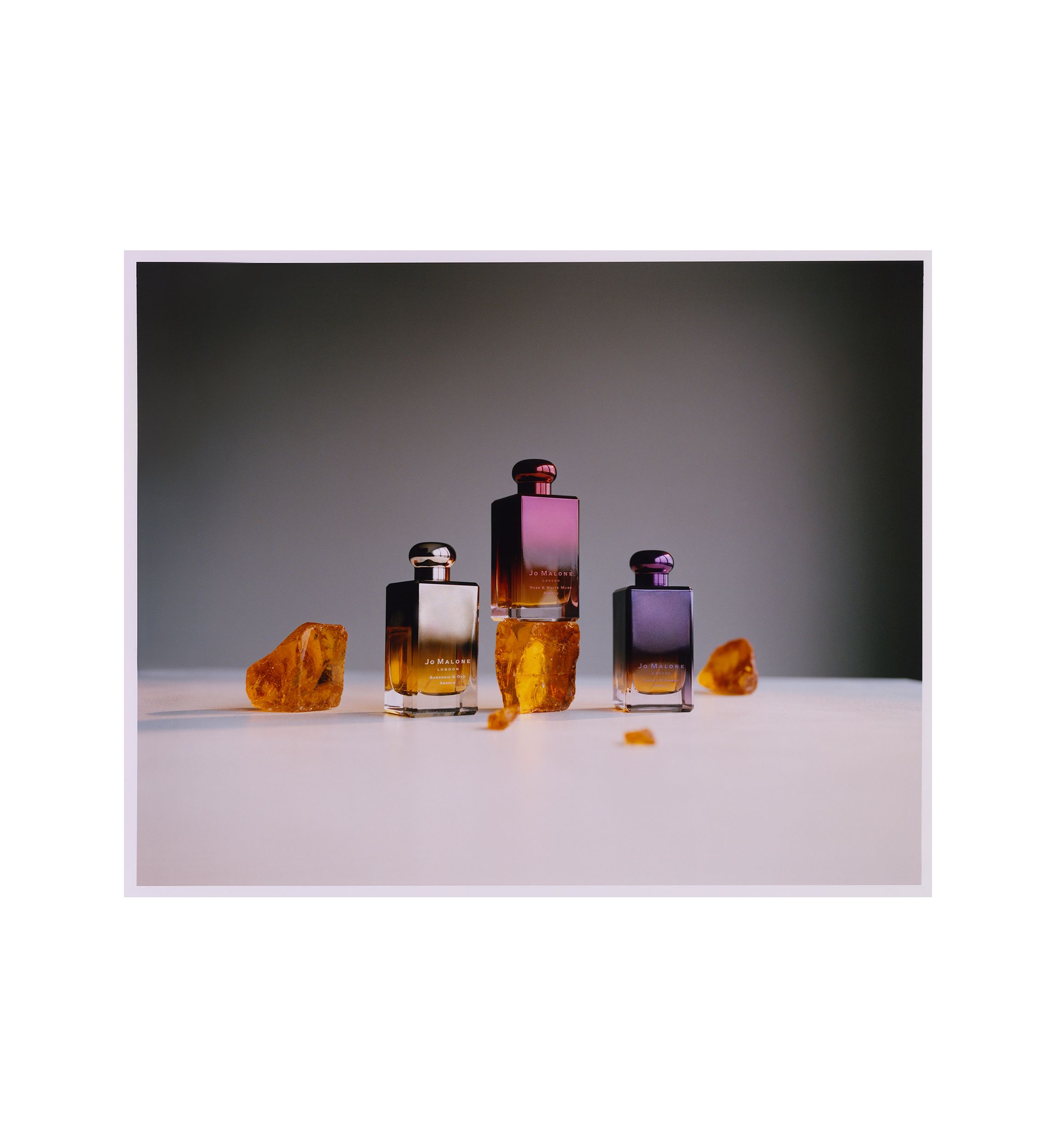 Violet & Amber Absolu
