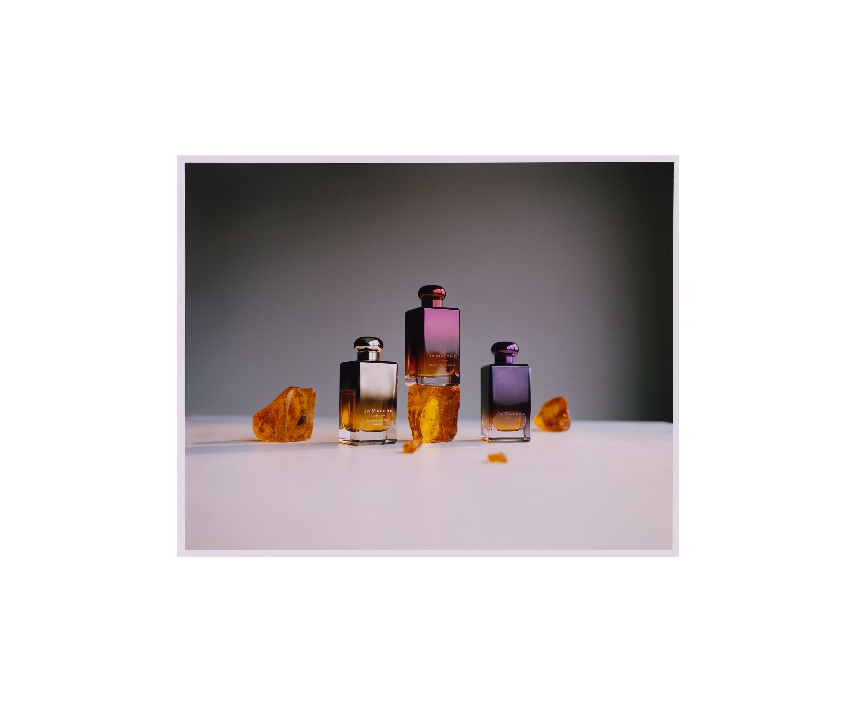 Violet & Amber Absolu