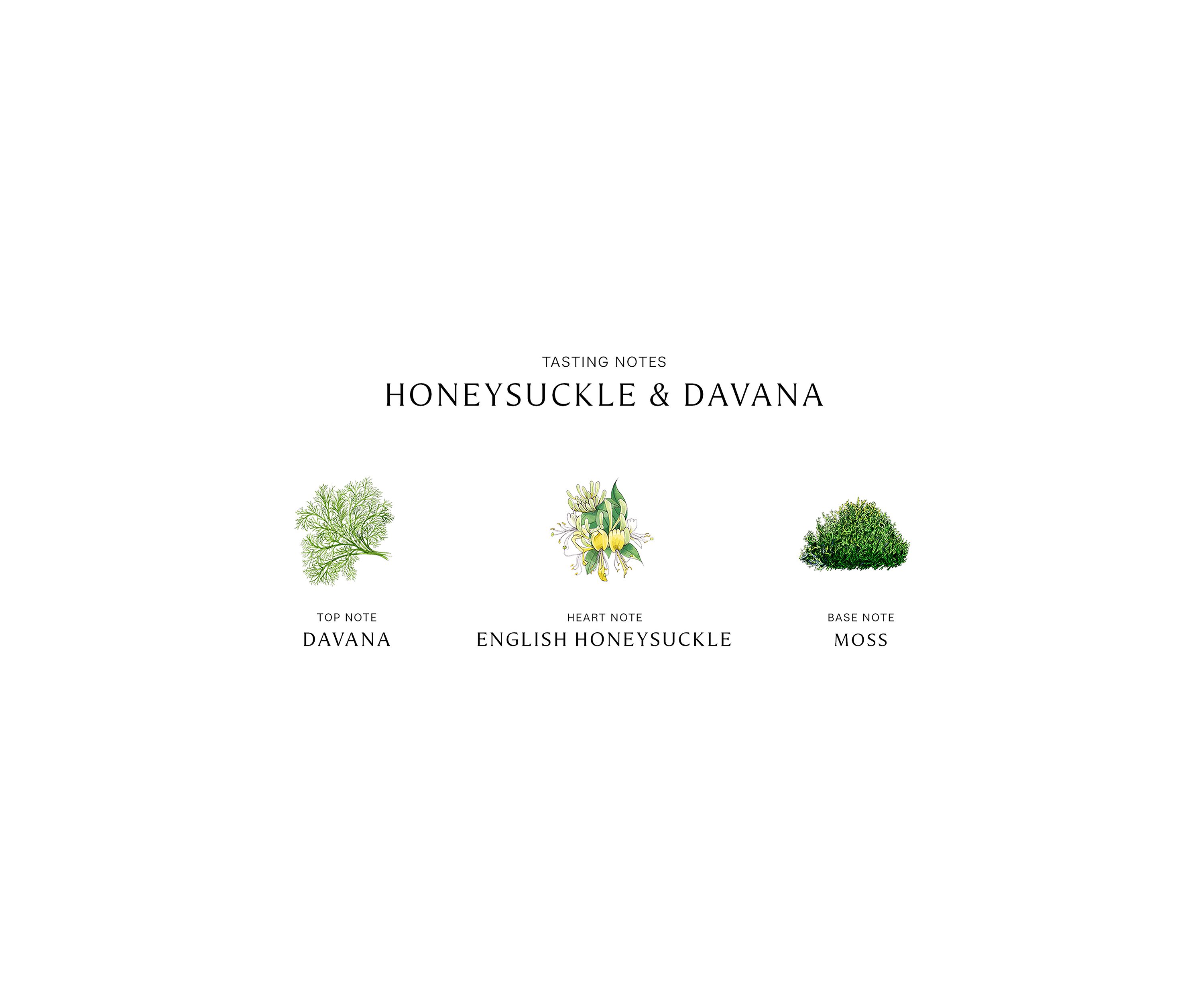 Honeysuckle & Davana Home Candle