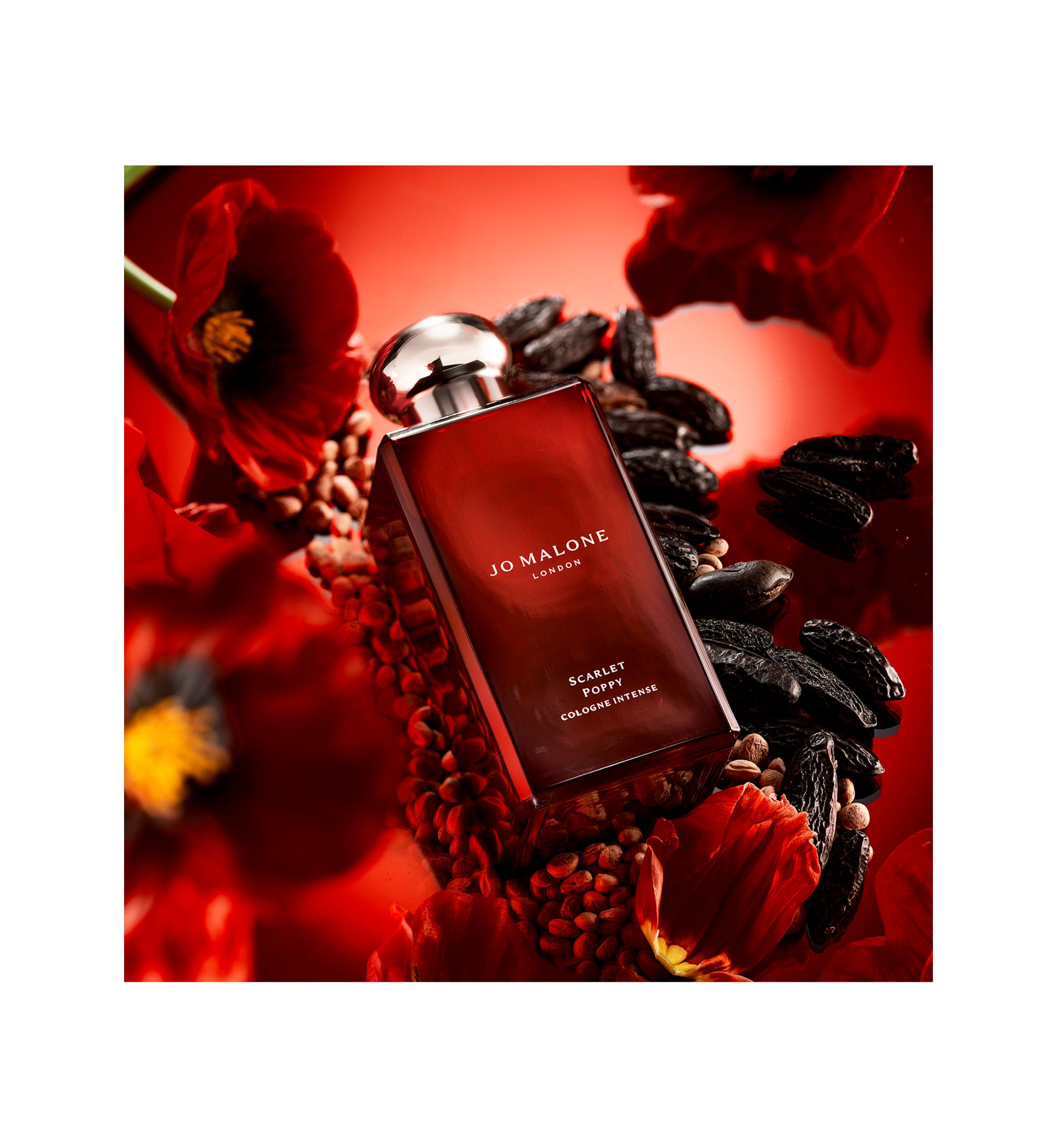 Mini Cologne Intense Trio Holiday Gift Set - $96 Value!