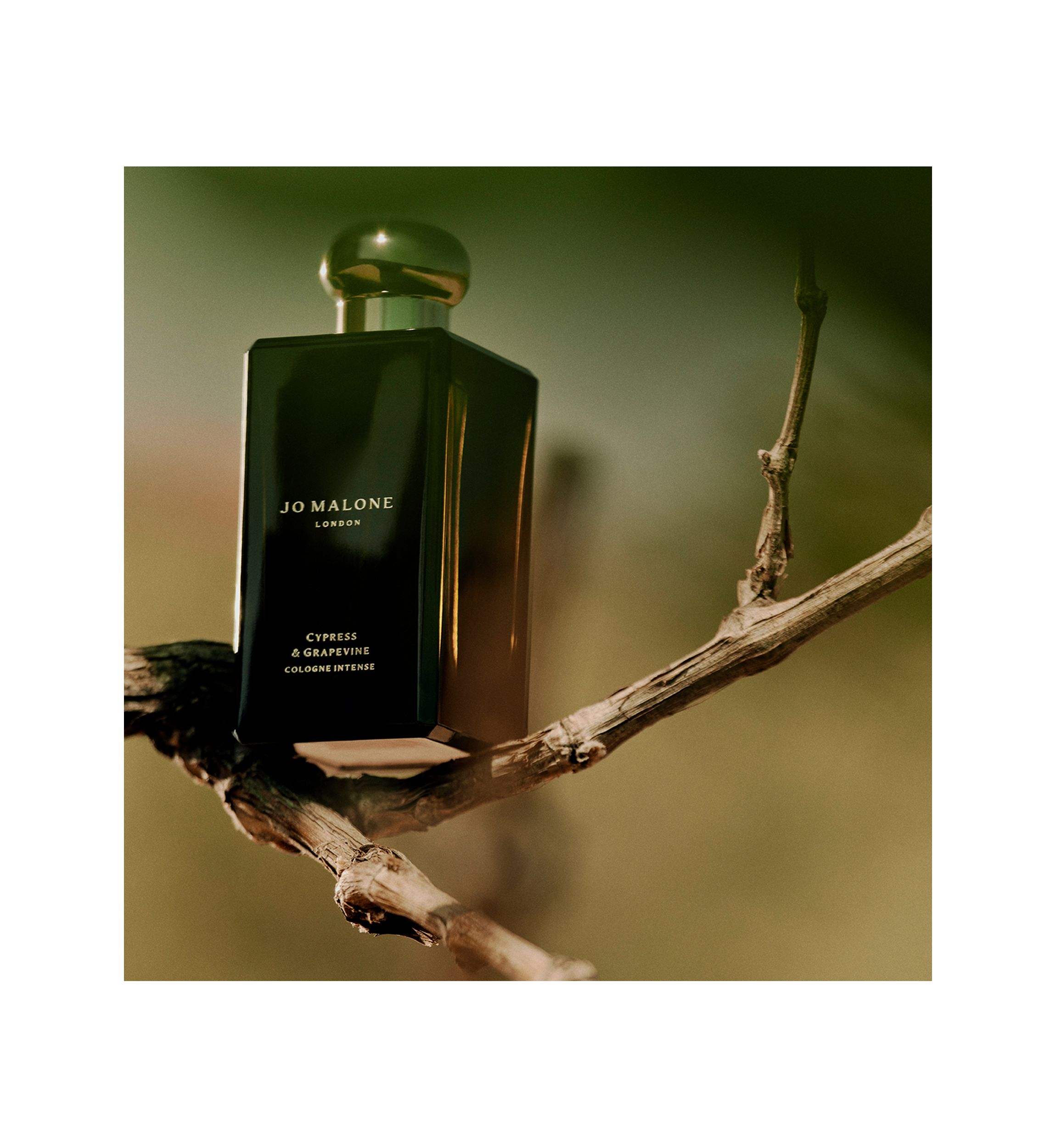 Mini Cologne Intense Trio Holiday Gift Set - $96 Value!