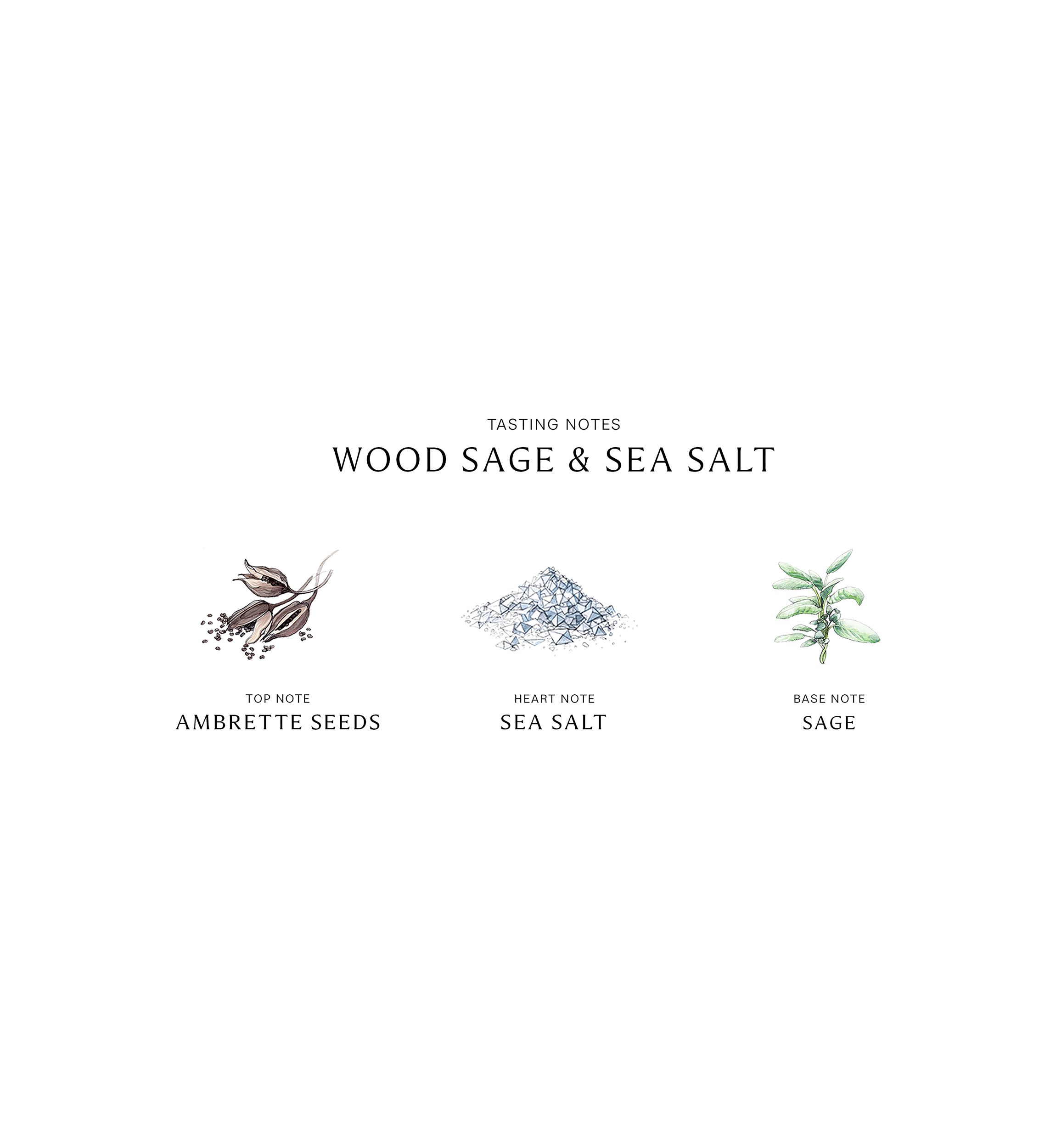 Wood Sage & Sea Salt Body & Hand Wash