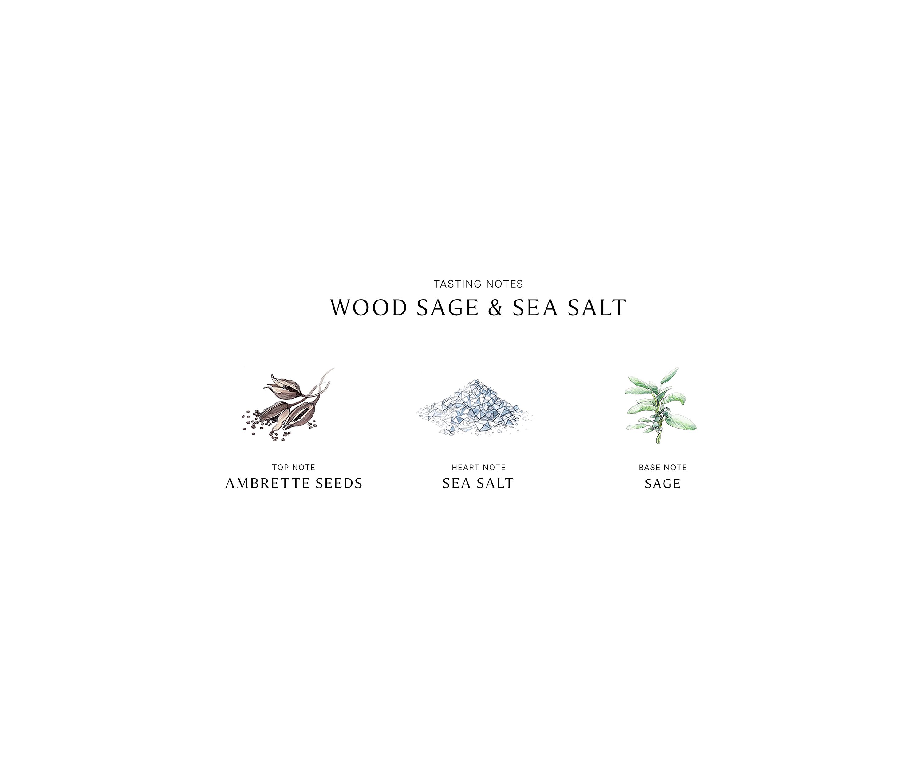 Wood Sage & Sea Salt Body & Hand Wash