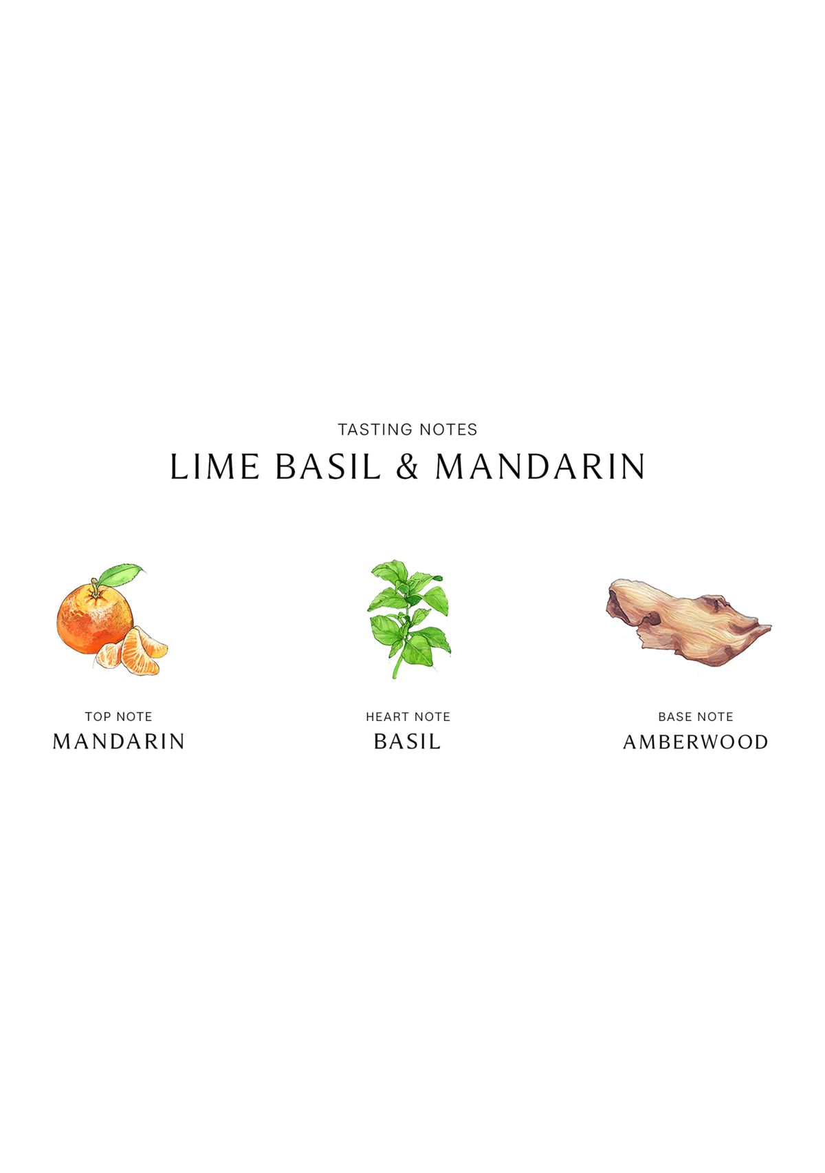 Lime Basil & Mandarin Exfoliating Shower Gel