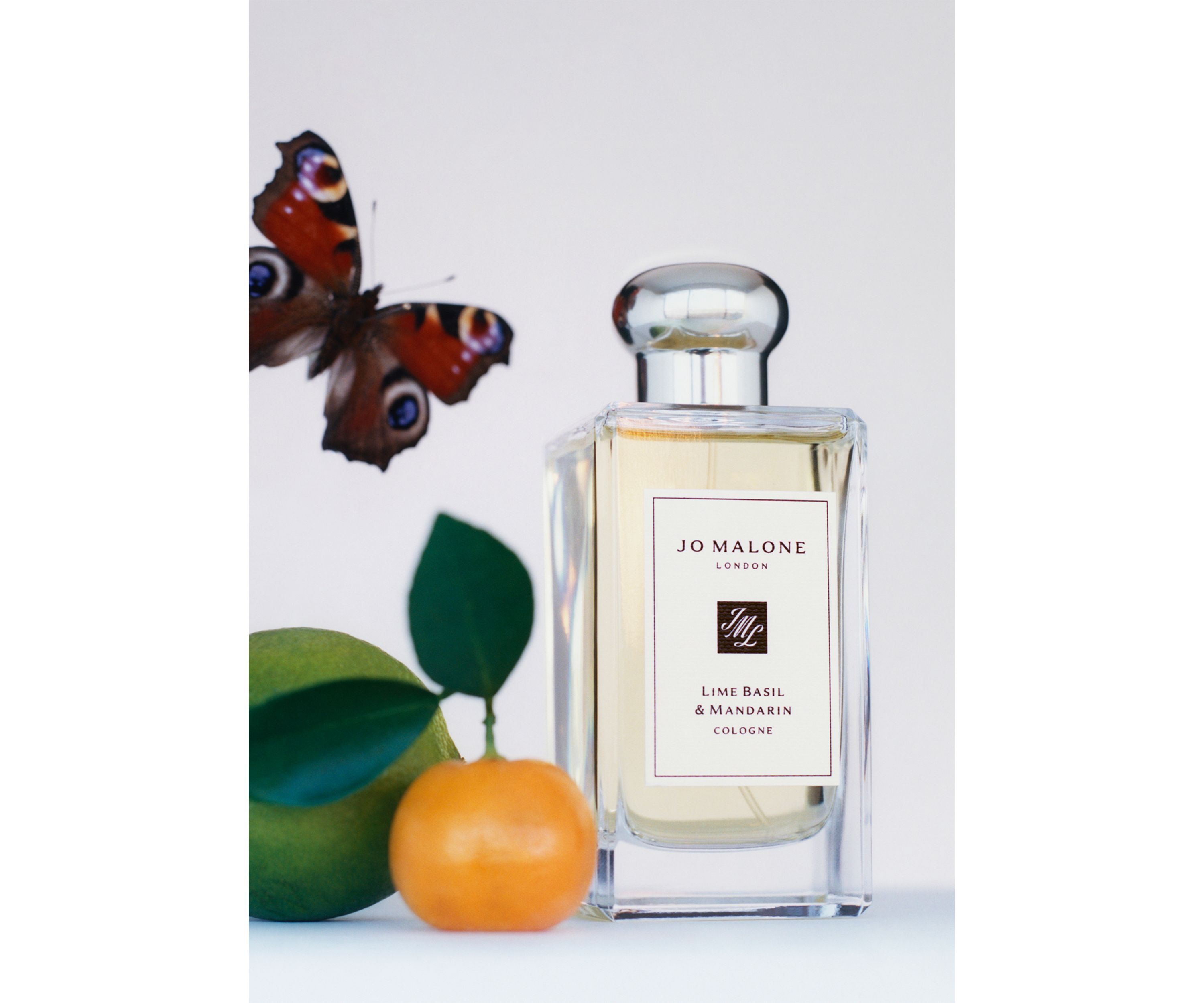 Lime Basil Mandarin Cologne