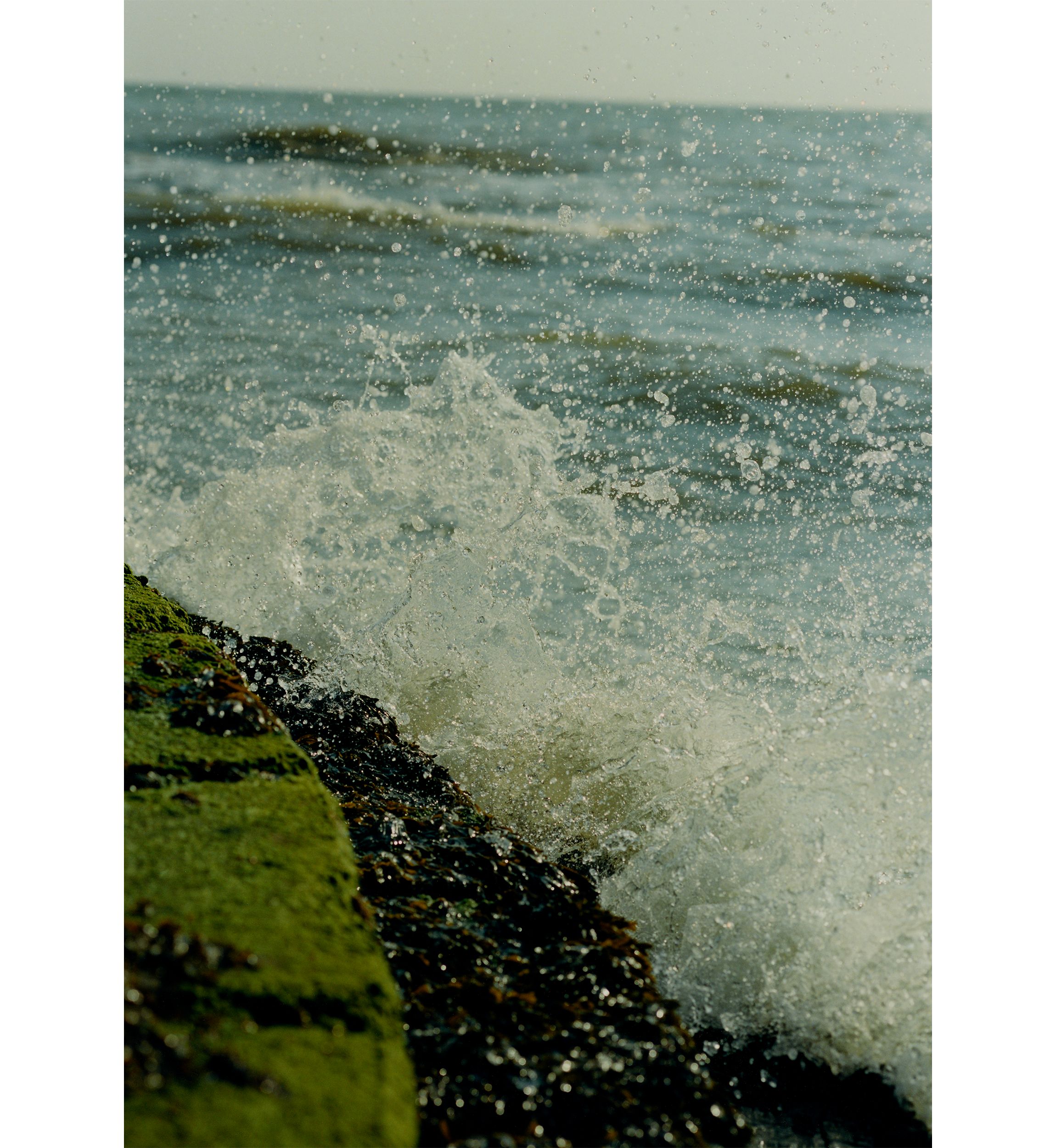 Wood Sage & Seasalt Exfoliating Shower Gel