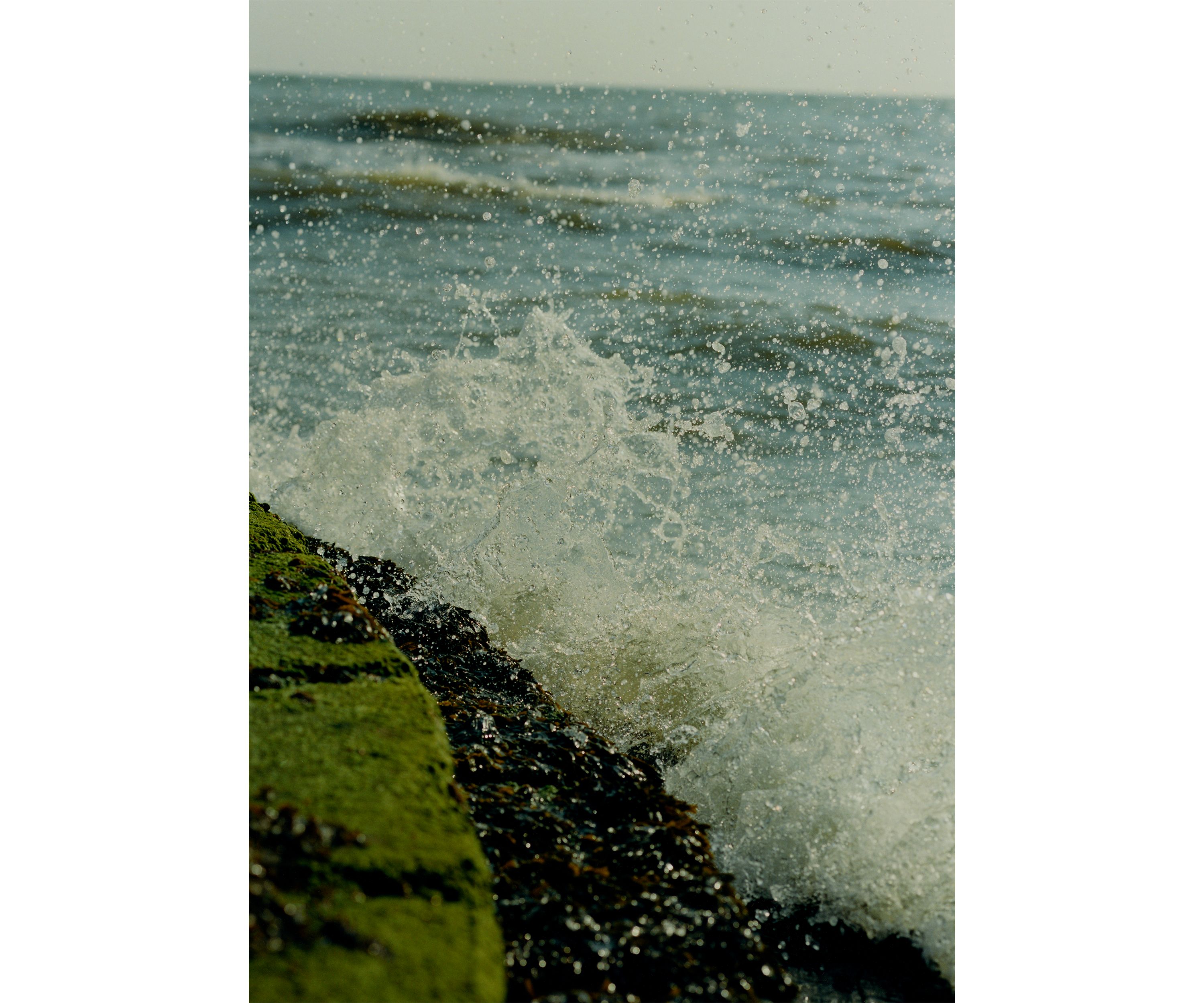 Wood Sage & Seasalt Exfoliating Shower Gel