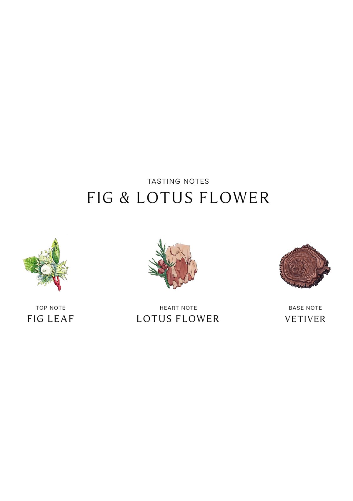 Fig & Lotus Flower Cologne