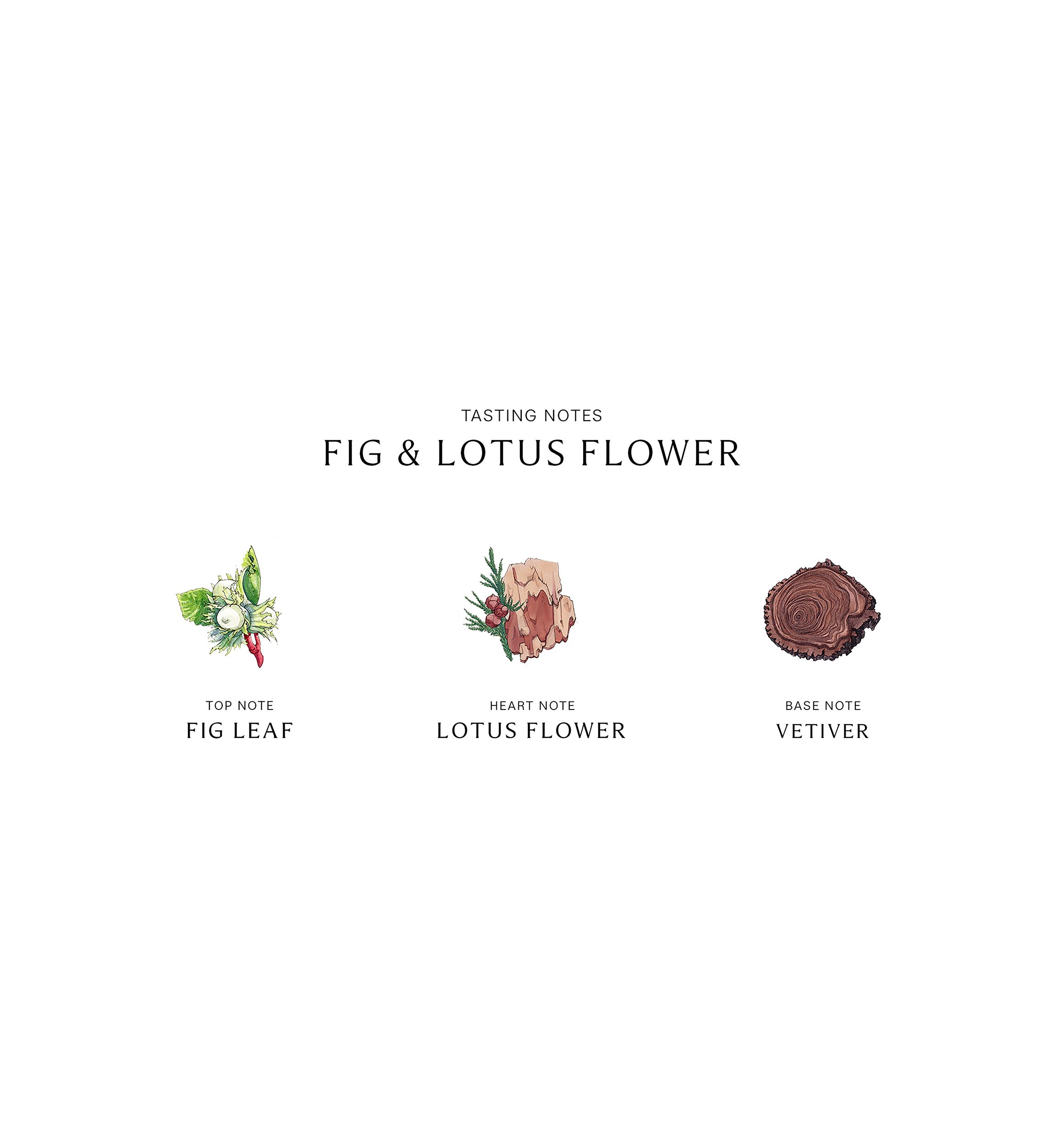 Fig & Lotus Flower Cologne