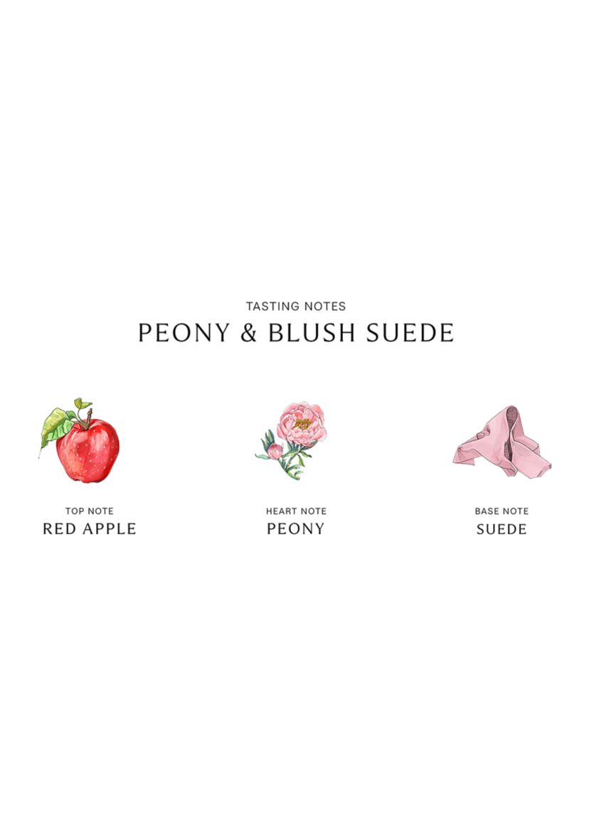 Peony & Blush Suede Room Spray