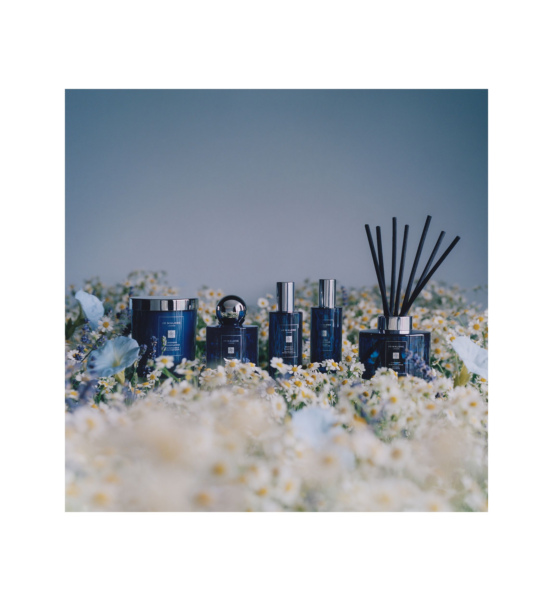 Moonlit Camomile Pillow Mist