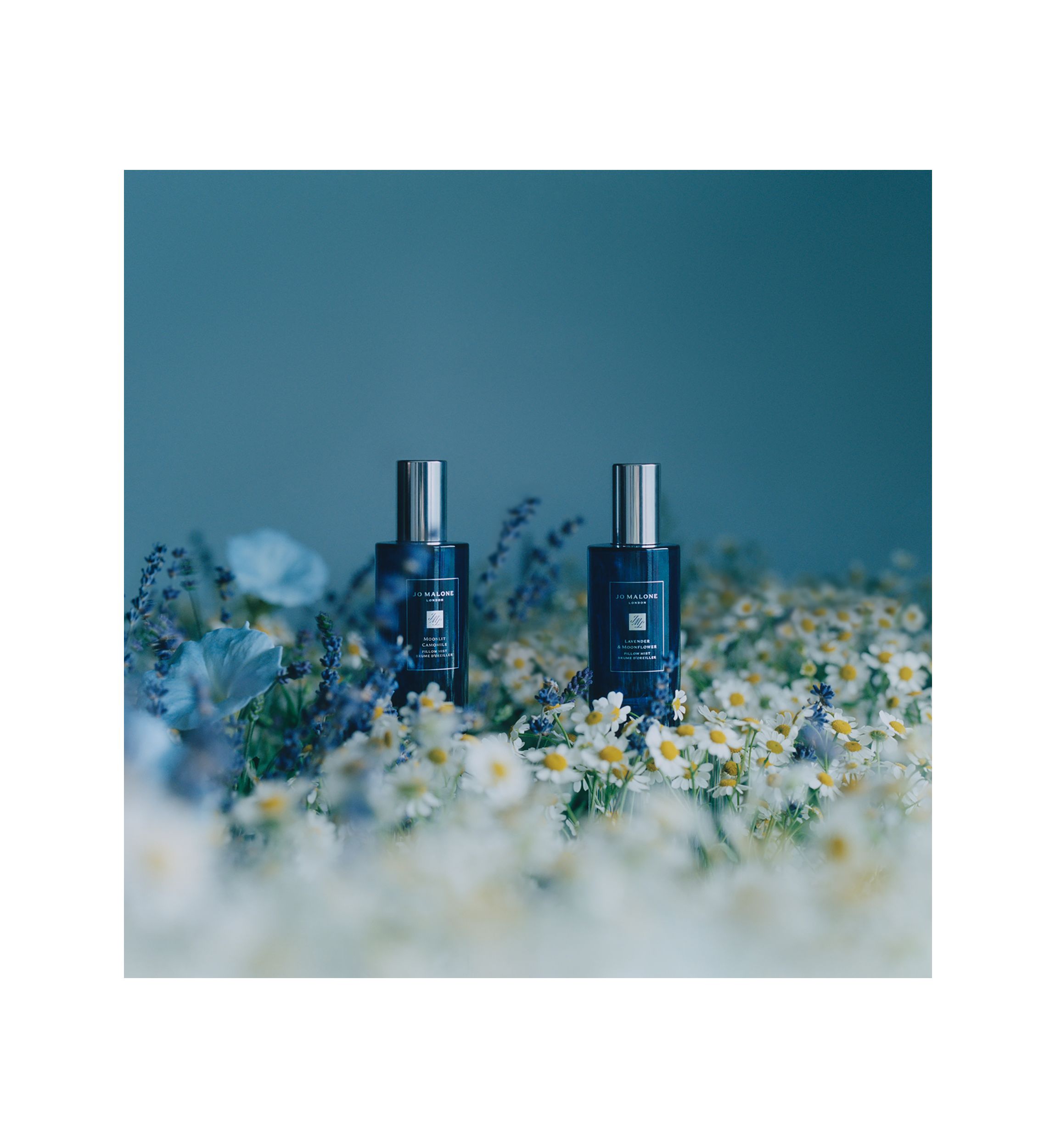 Moonlit Camomile Pillow Mist