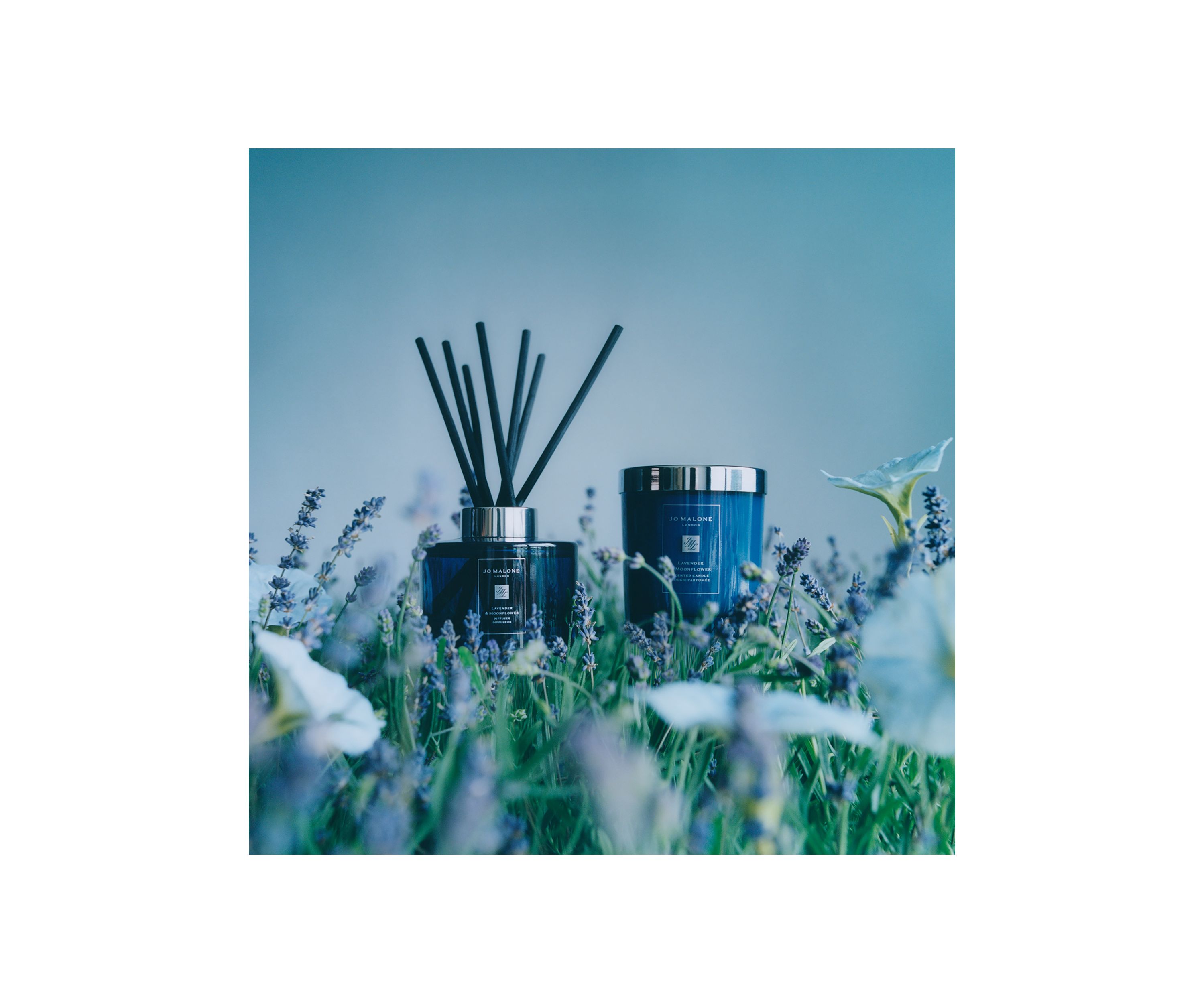 Lavender & Moonflower Diffuser 