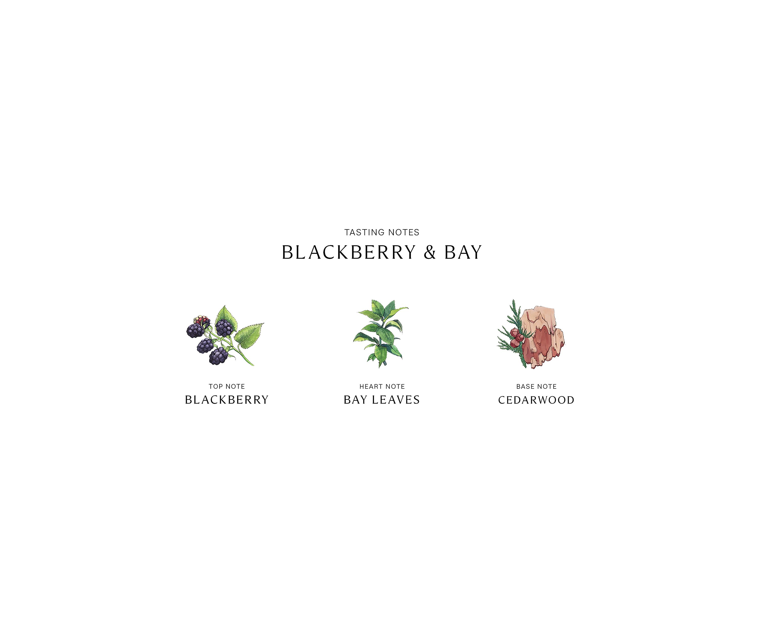 Blackberry & Bay Scent Surround Diffuser