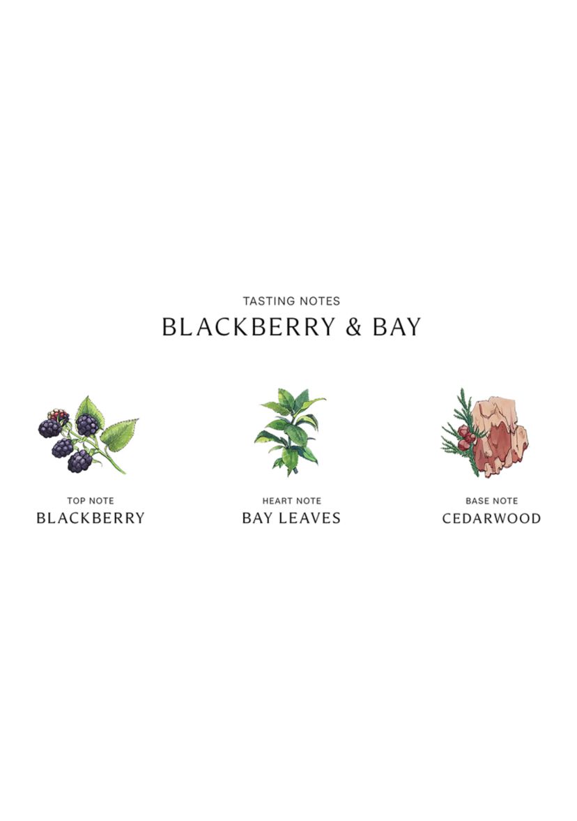 Blackberry & Bay Scent Surround Diffuser