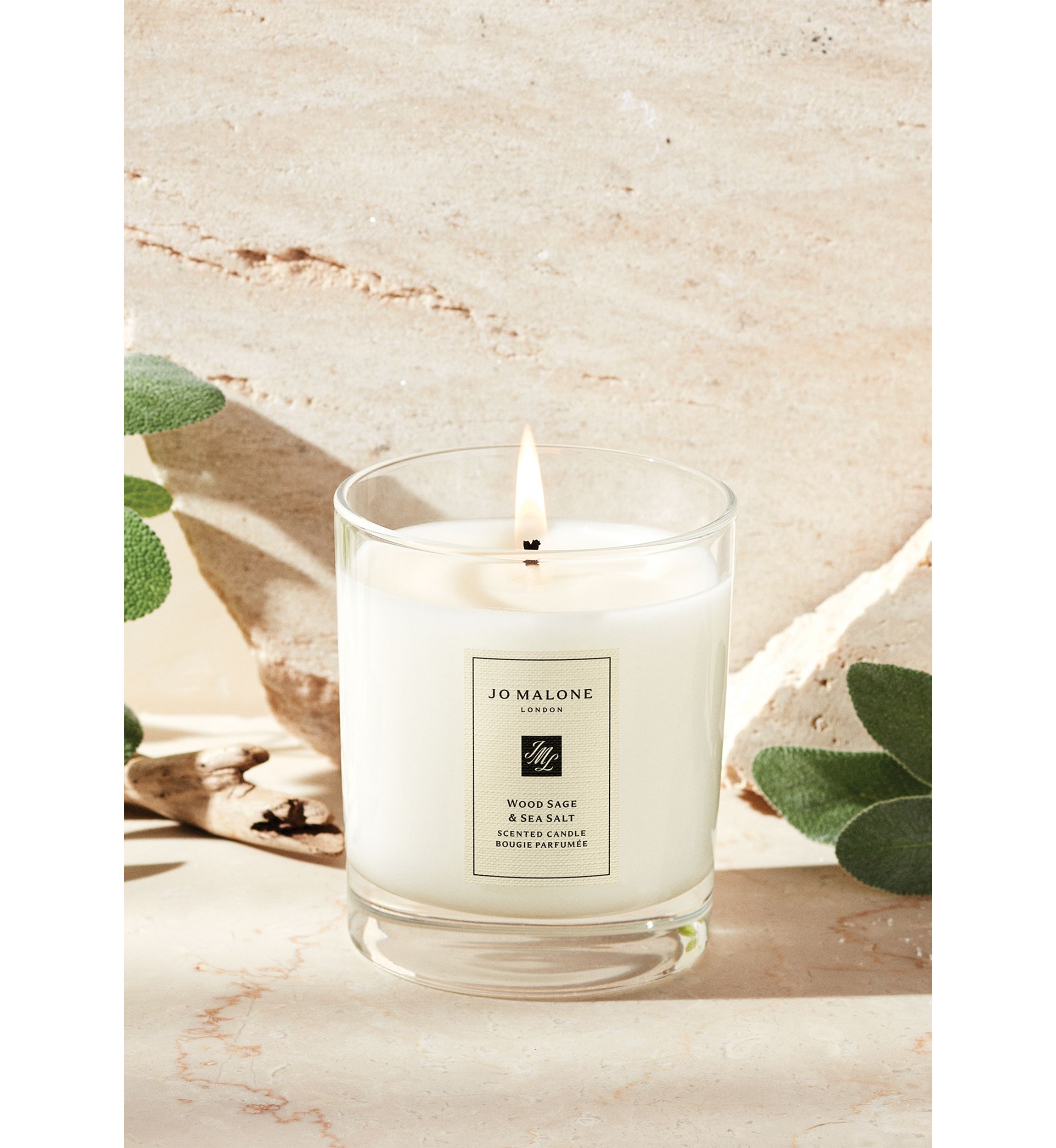 Wood Sage and Sea Salt Travel Candle 