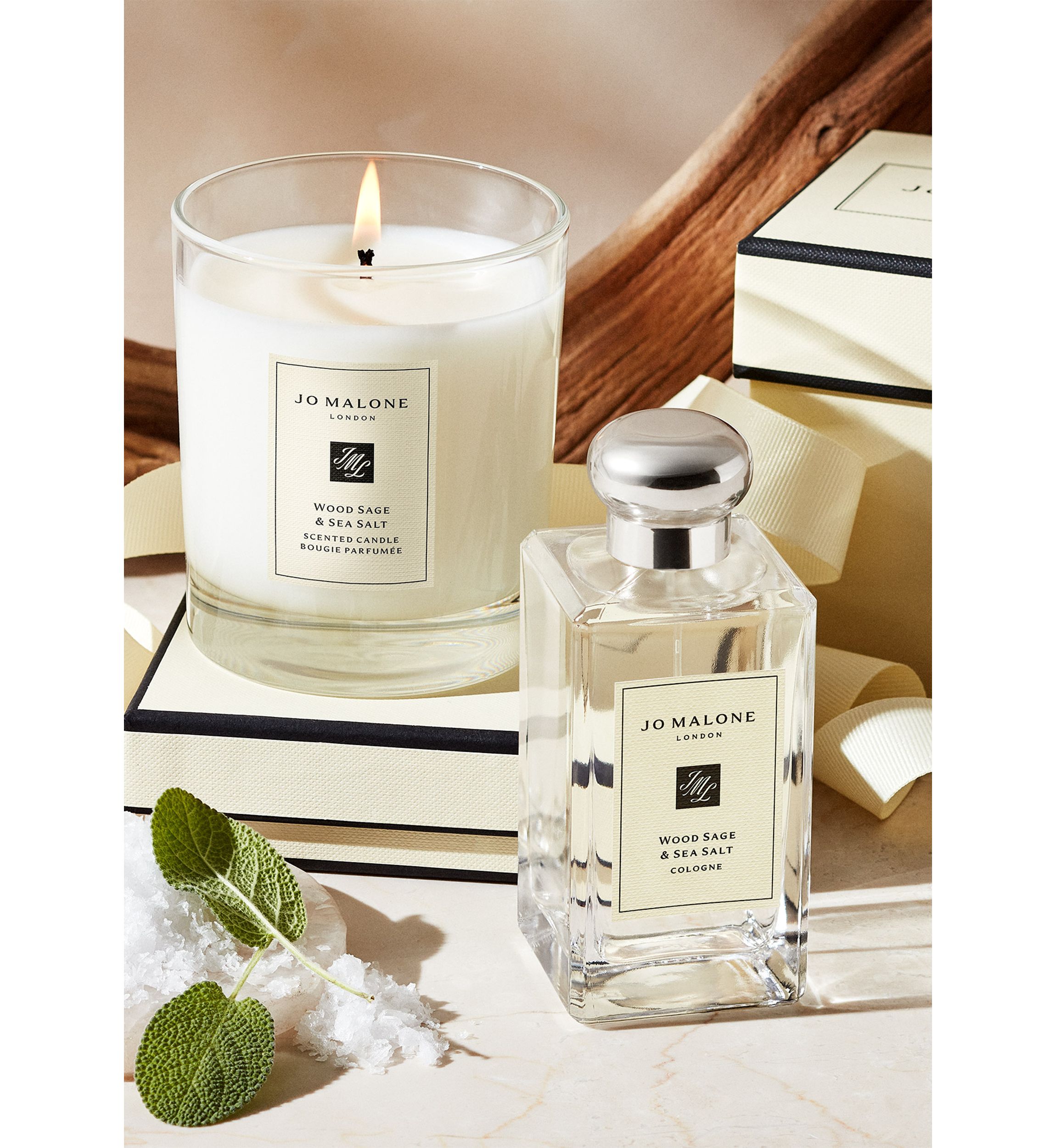 Wood Sage and Sea Salt Travel Candle 