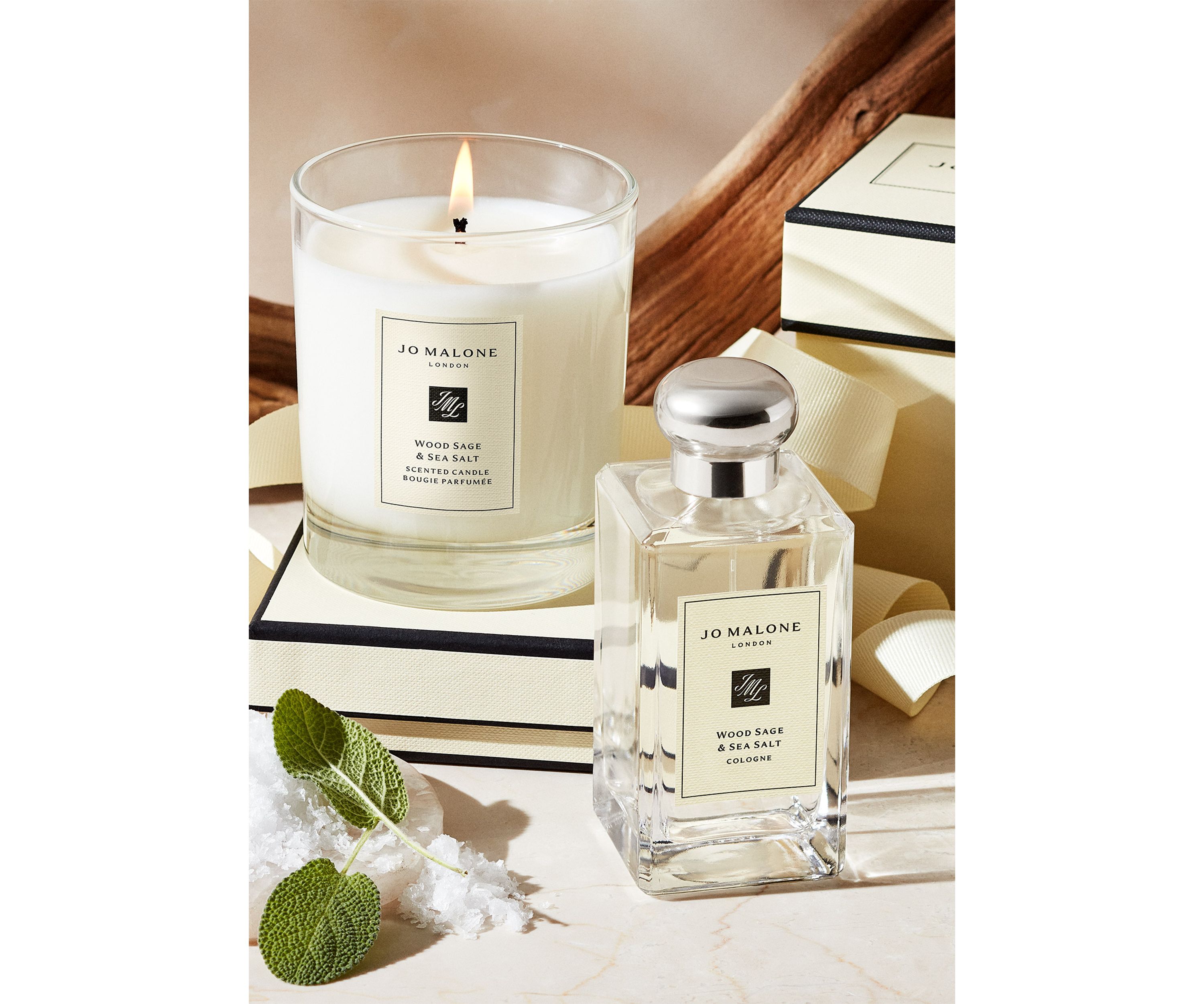 Wood Sage and Sea Salt Travel Candle 