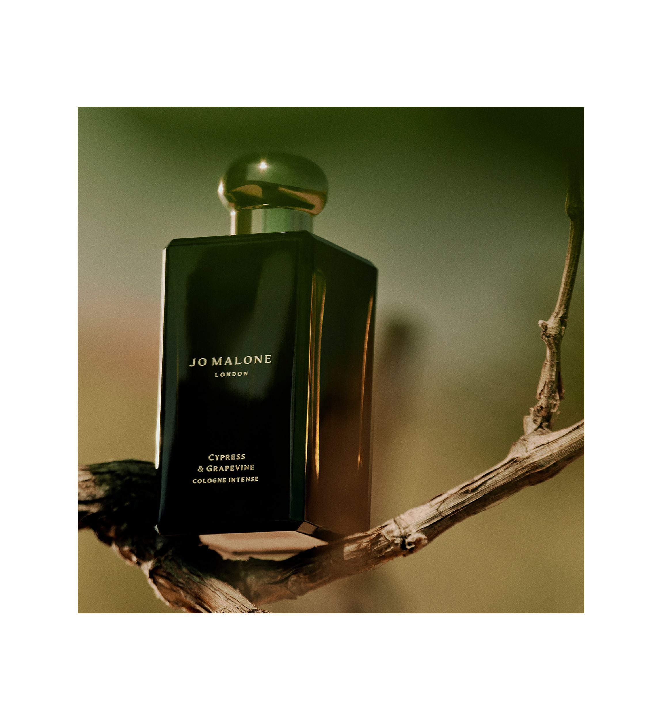 Cypress & Grapevine Cologne Intense 