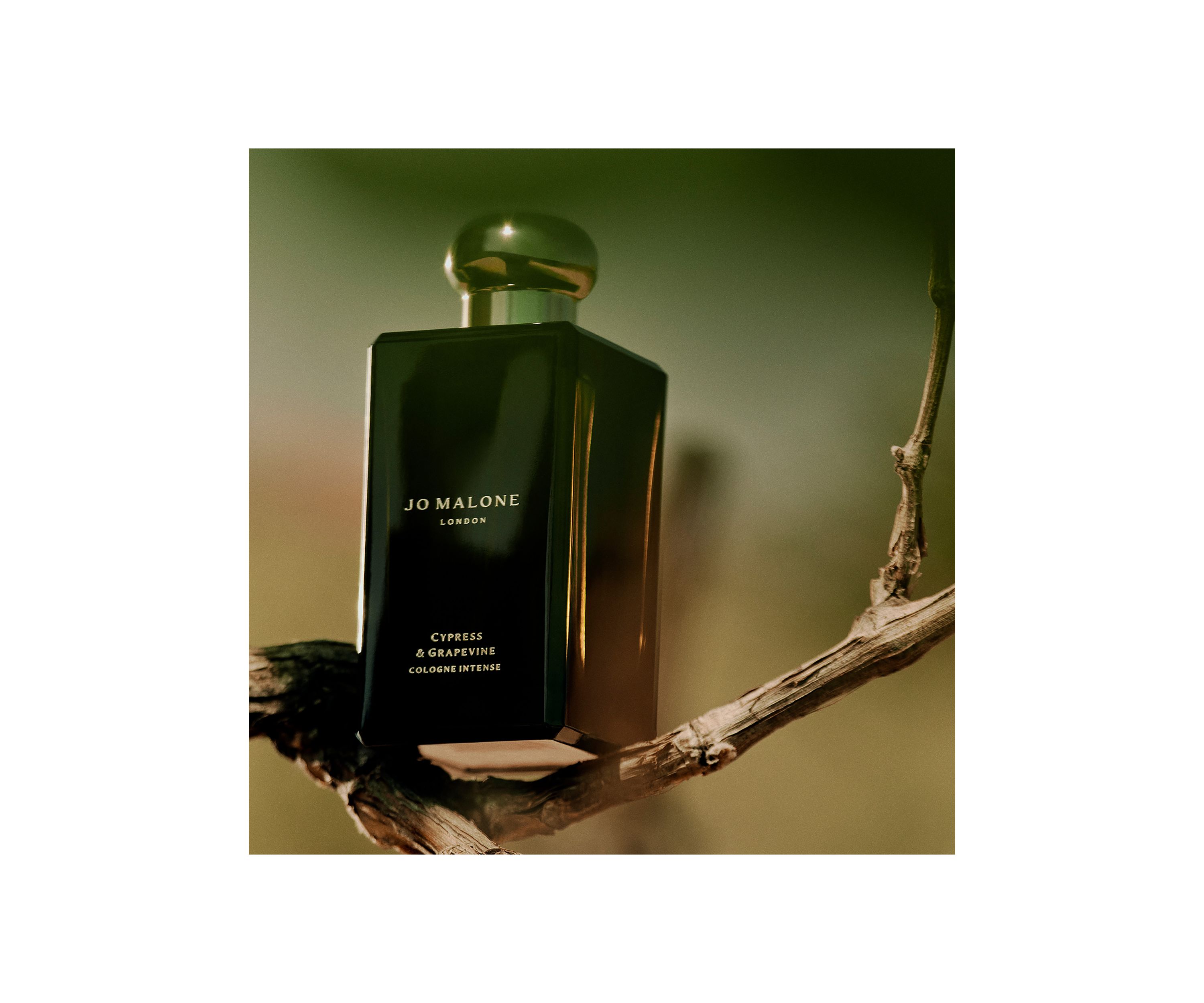 Cypress & Grapevine Cologne Intense 