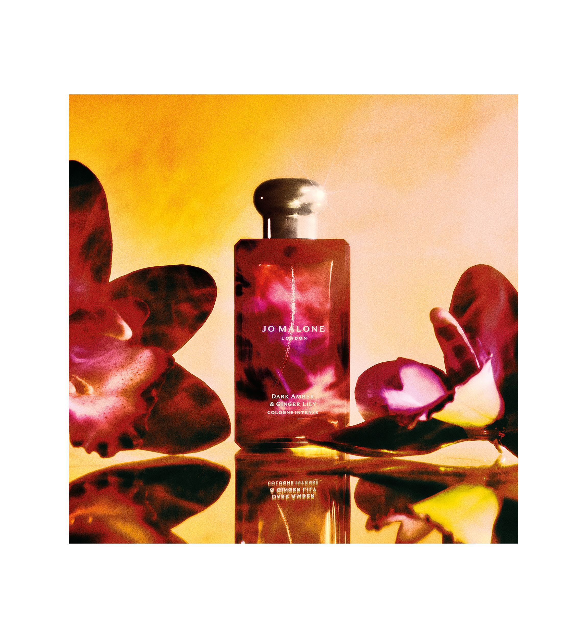 Dark Amber Ginger Lily Cologne - Intense