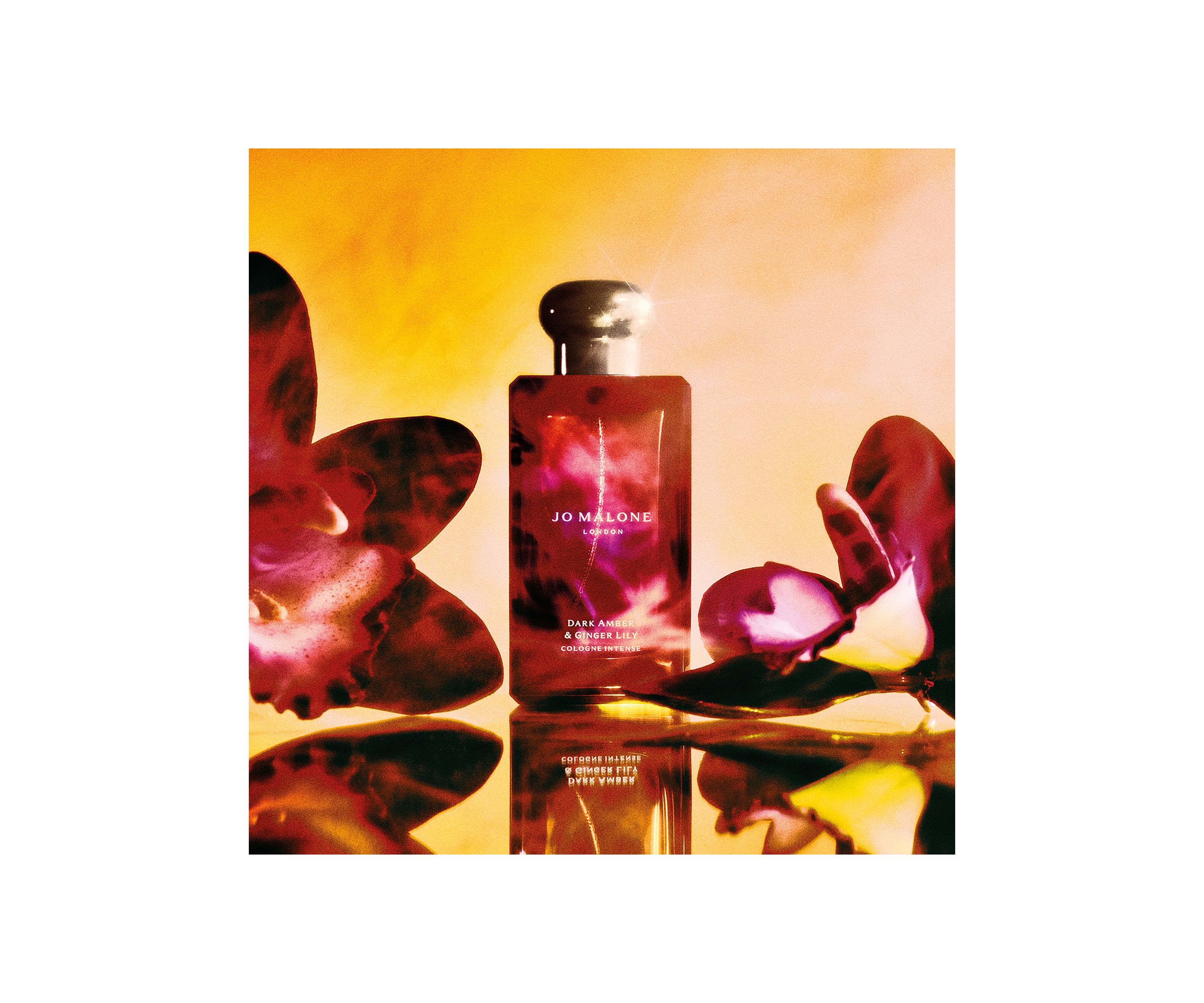 Dark Amber Ginger Lily Cologne - Intense