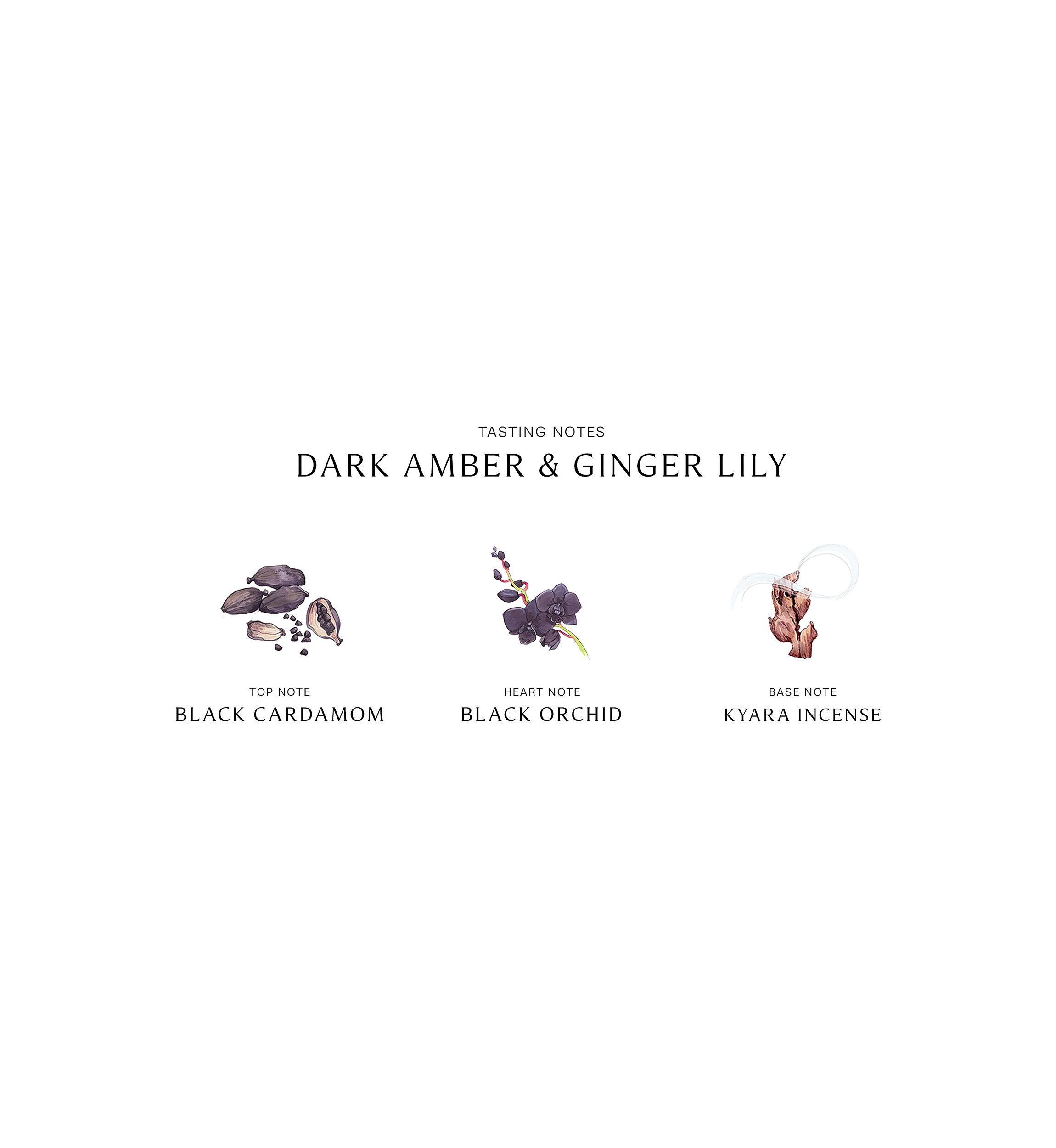 Dark Amber Ginger Lily Cologne - Intense