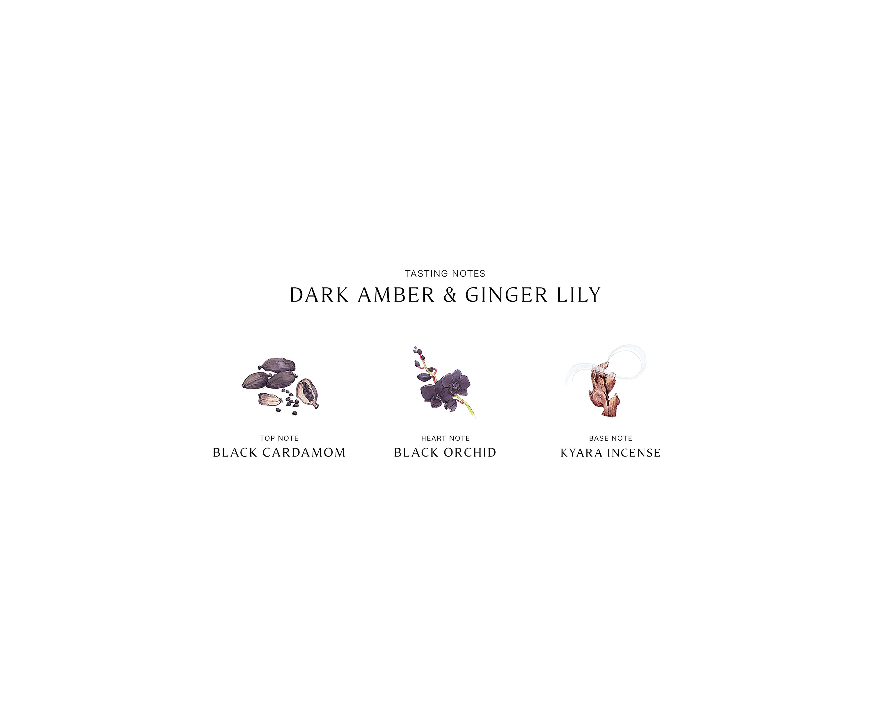 Dark Amber Ginger Lily Cologne - Intense