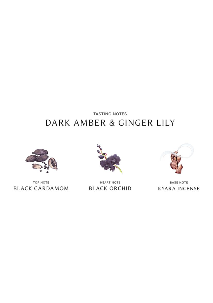 Dark Amber Ginger Lily Cologne - Intense