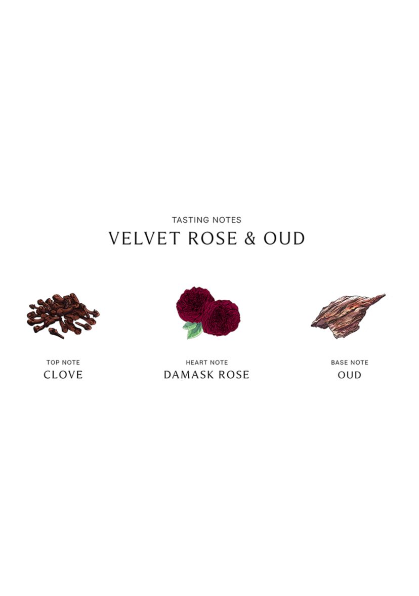 Velvet Rose & Oud Scent Surround Diffuser
