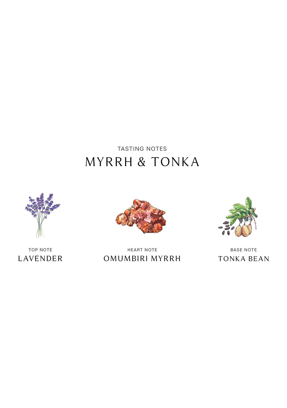 Myrrh & Tonka Scent Surround Diffuser
