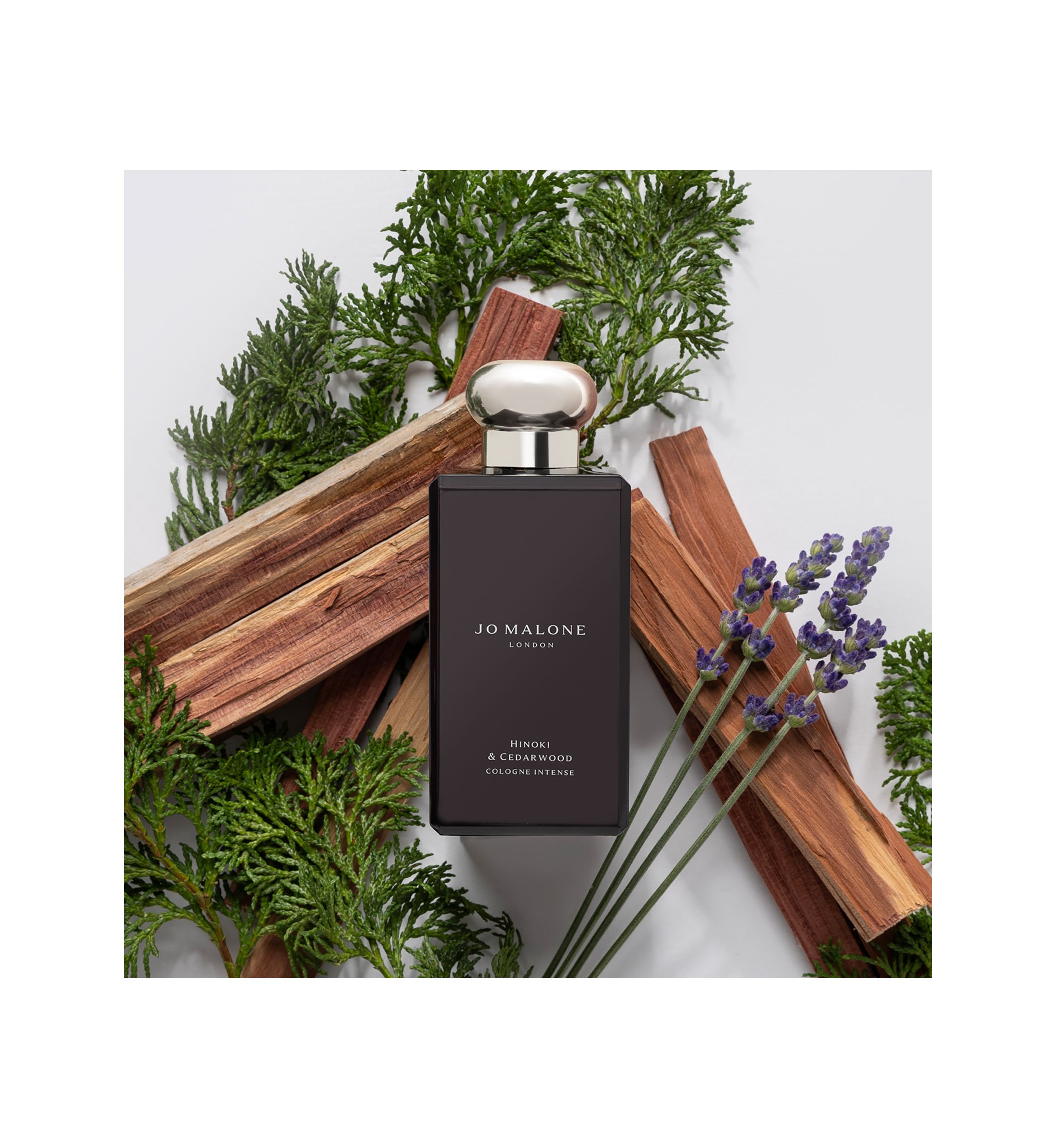 Hinoki & Cedarwood Cologne Intense 
