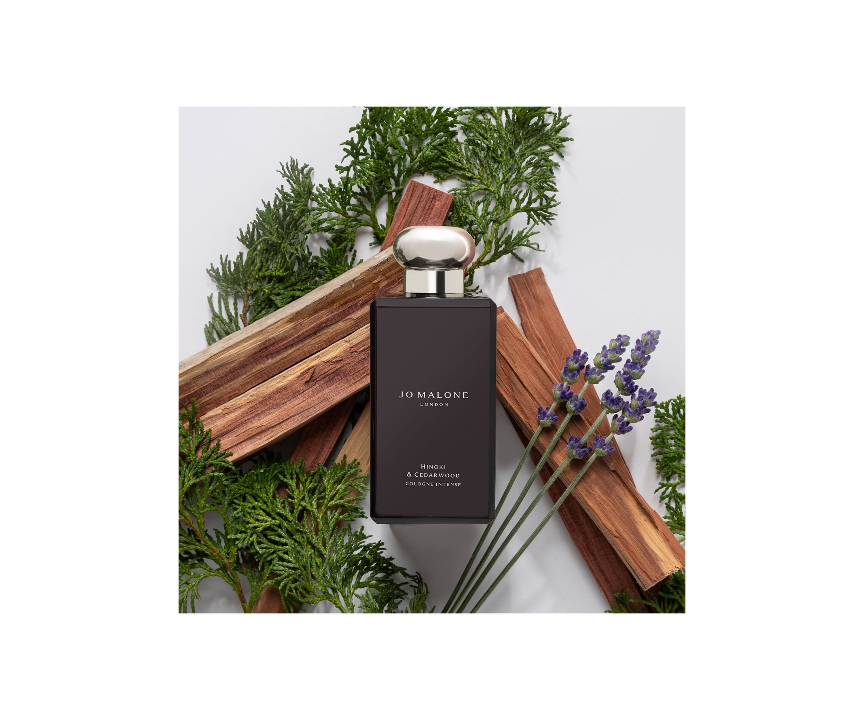Hinoki & Cedarwood Cologne Intense 