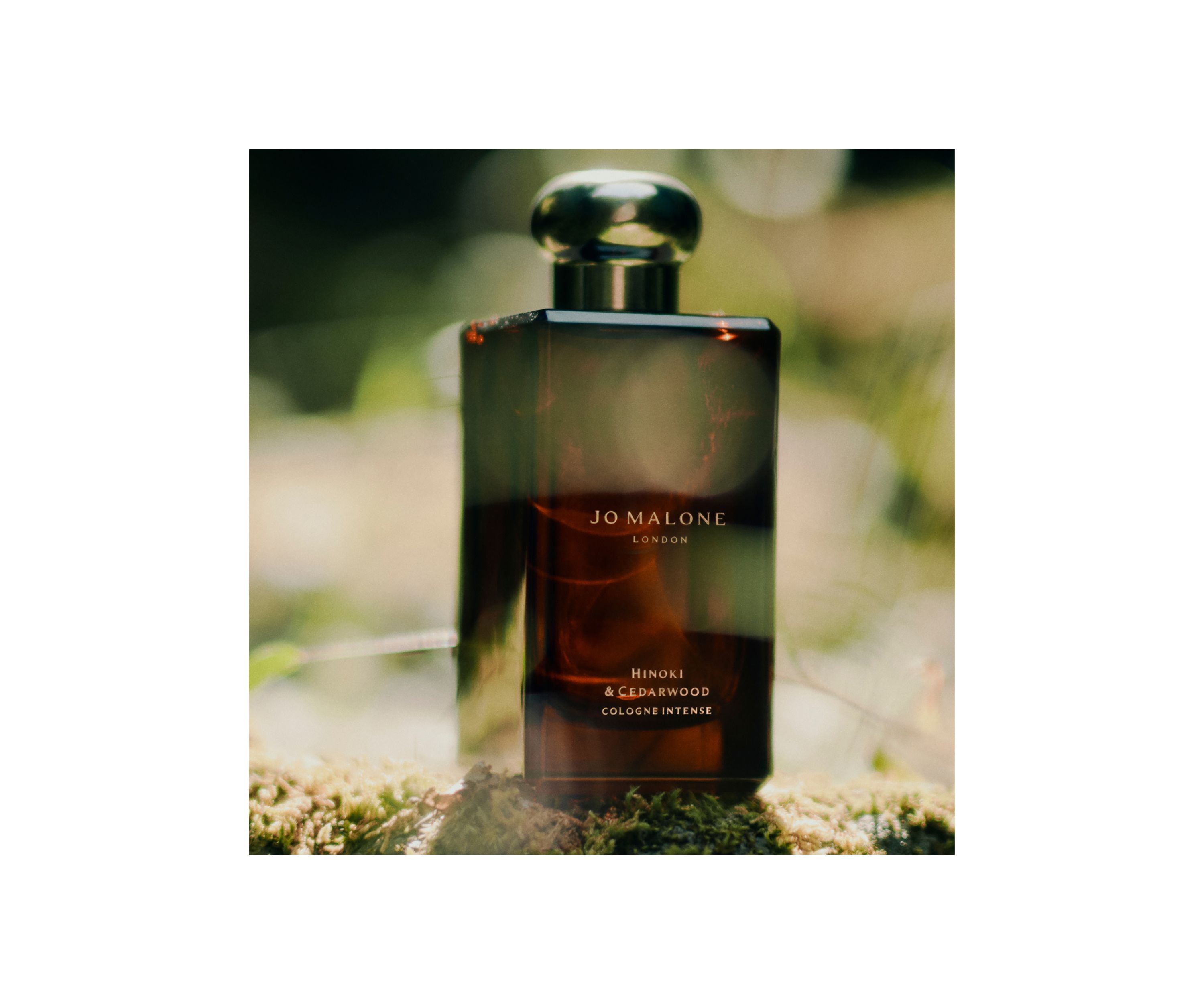 Hinoki & Cedarwood Cologne Intense 