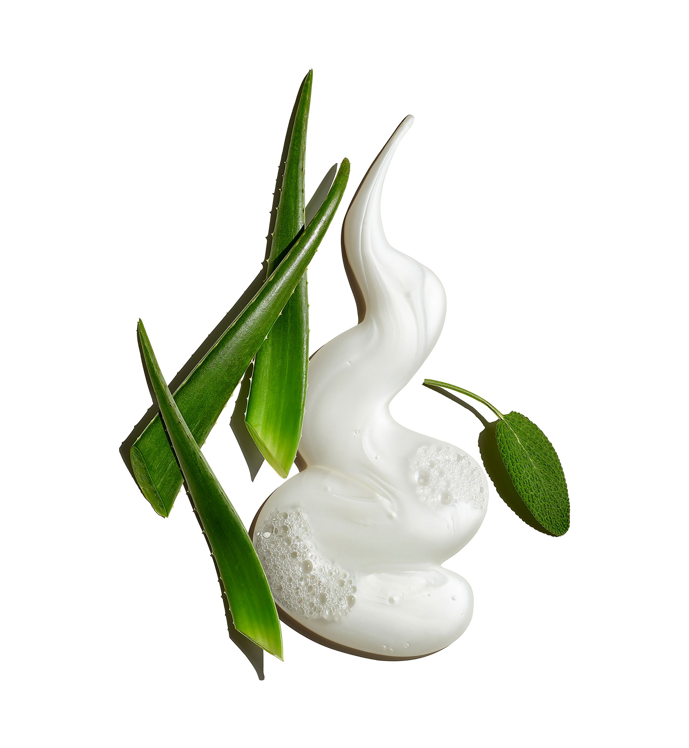 Pure Clean Daily Facial Cleanser with Aloe & Sage Leaf 