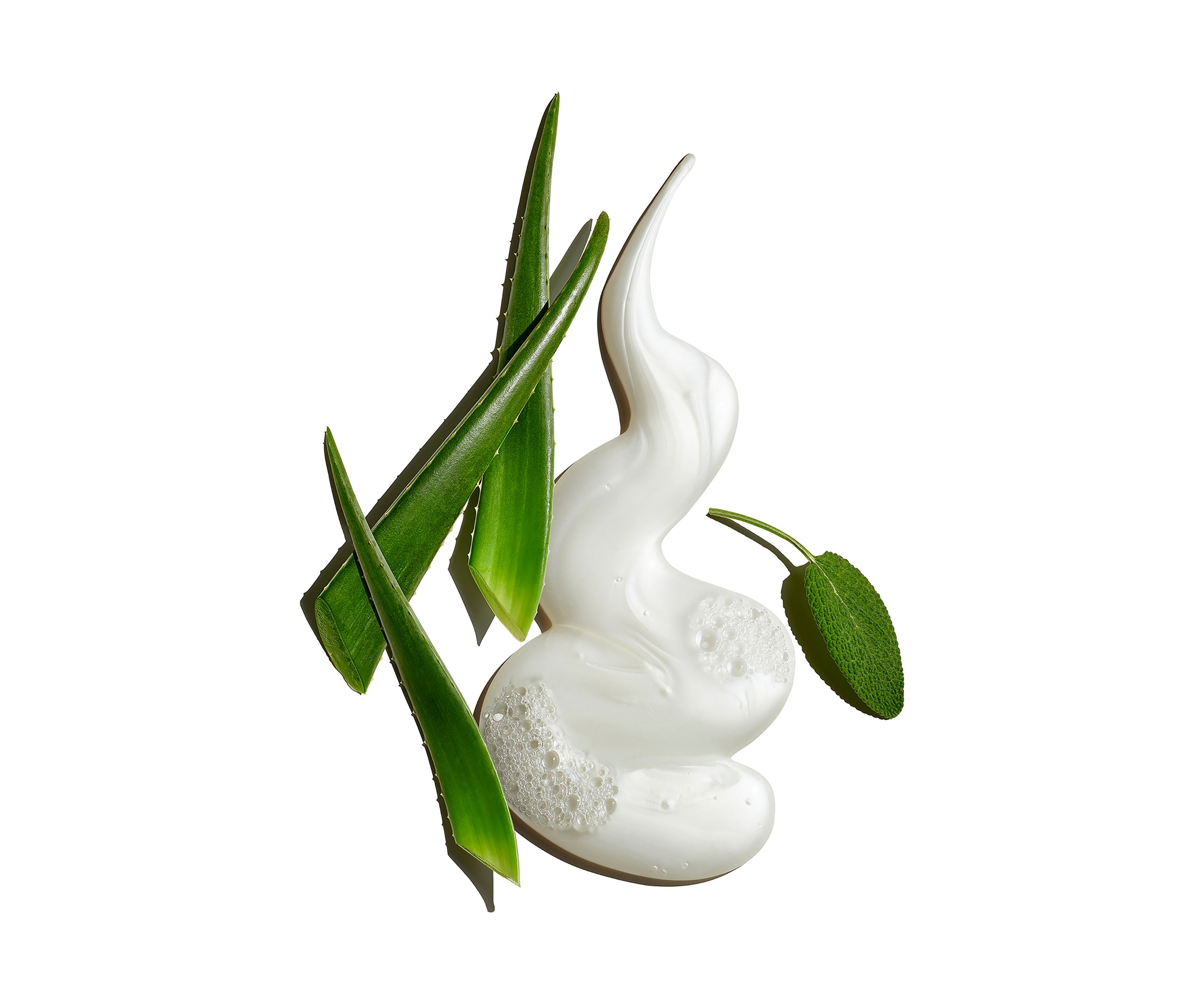 Pure Clean Daily Facial Cleanser with Aloe & Sage Leaf 