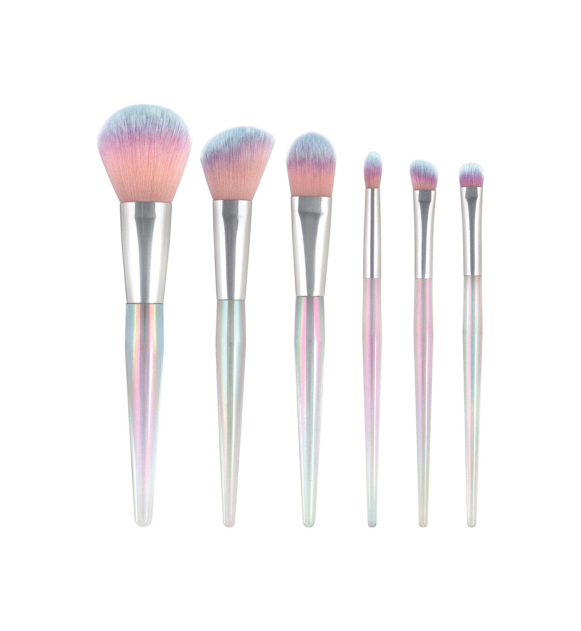 6 Piece Iridescent Brush Set