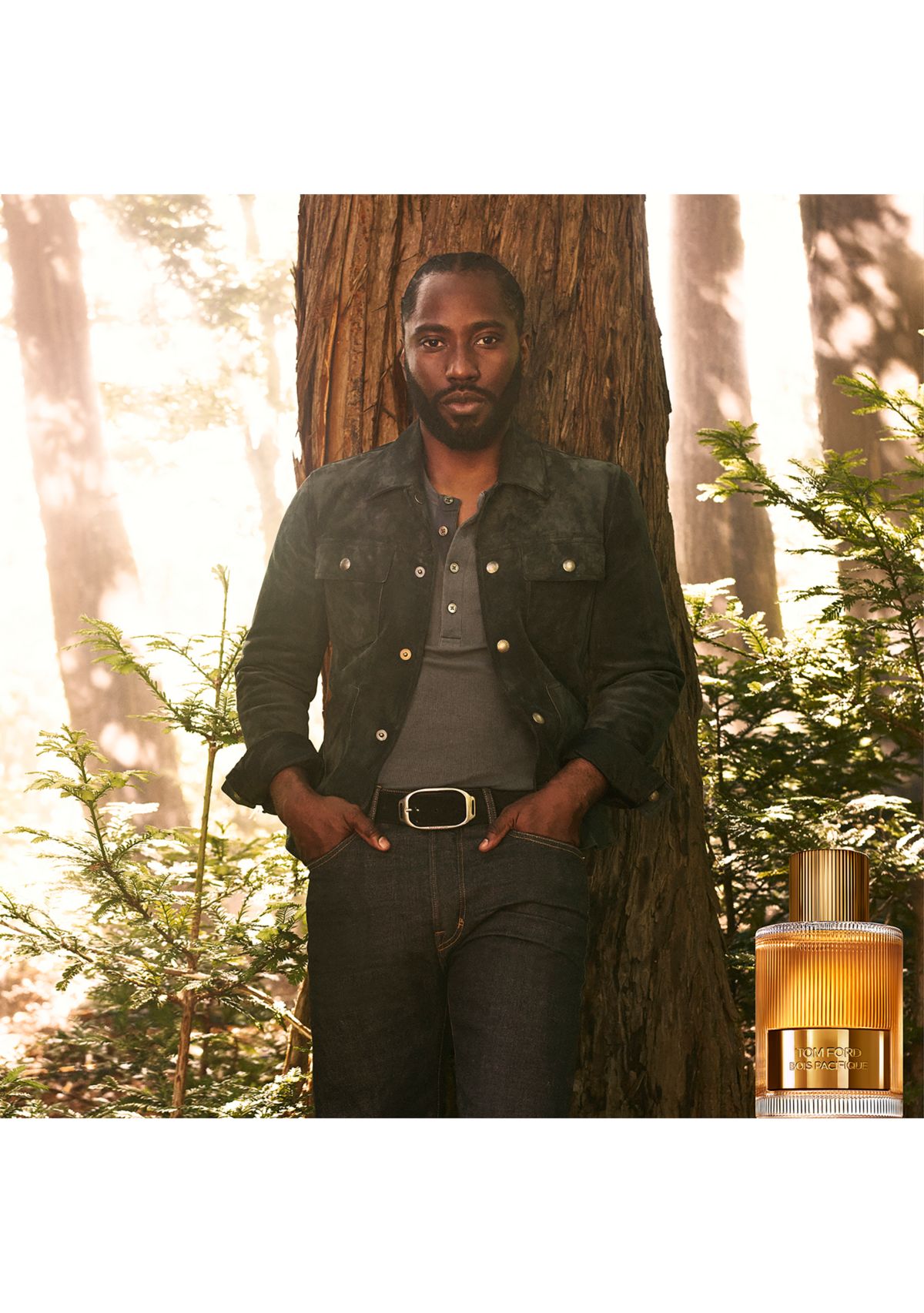 Bois Pacifique Eau de Parfum Fragrance