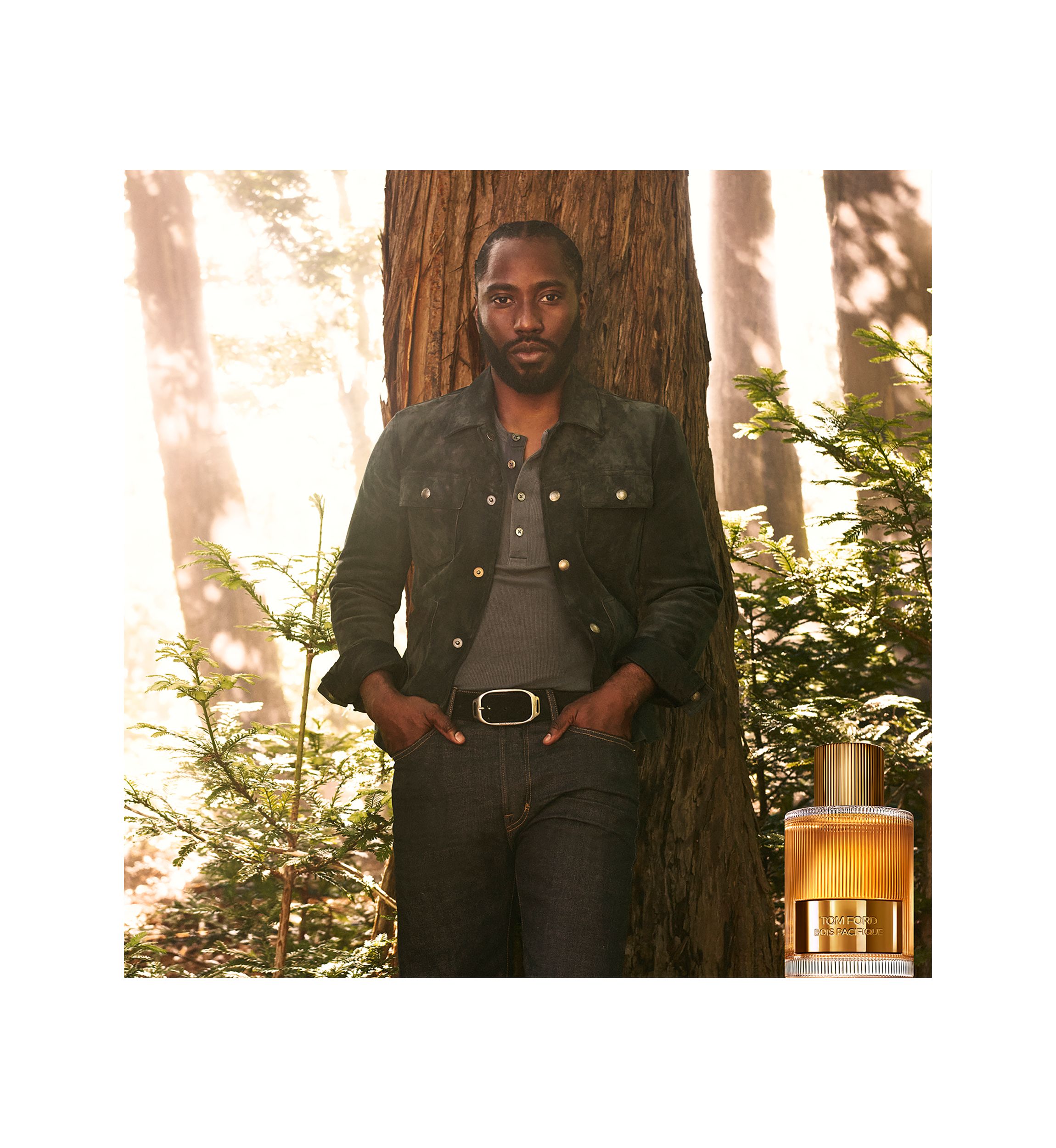 Bois Pacifique Eau de Parfum Fragrance