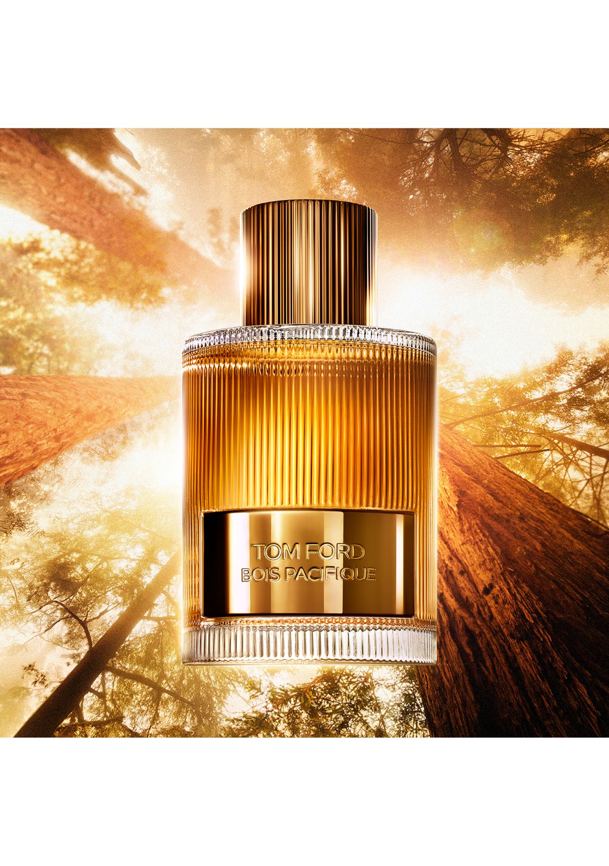 Bois Pacifique Eau de Parfum Fragrance