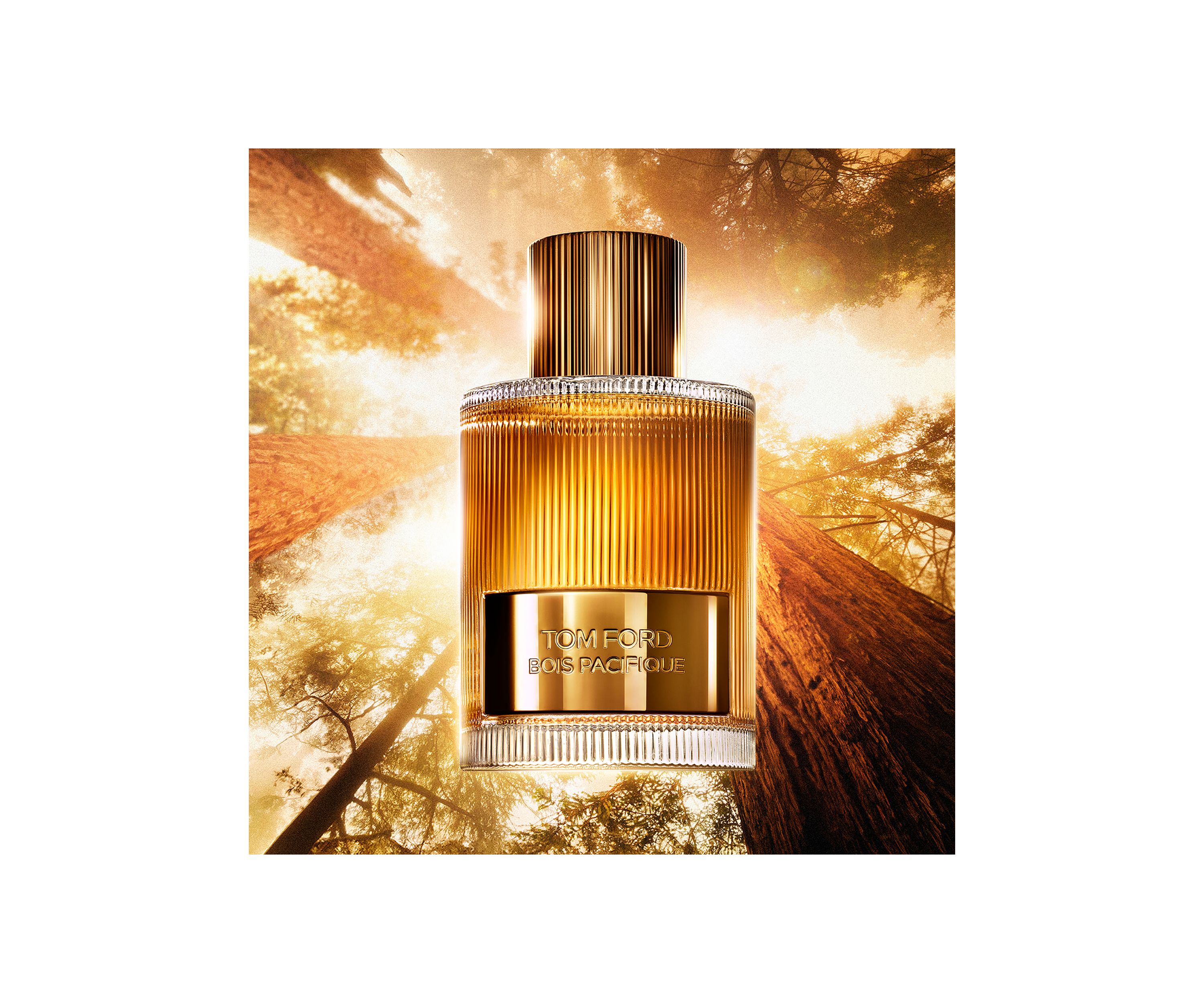 Bois Pacifique Eau de Parfum Fragrance