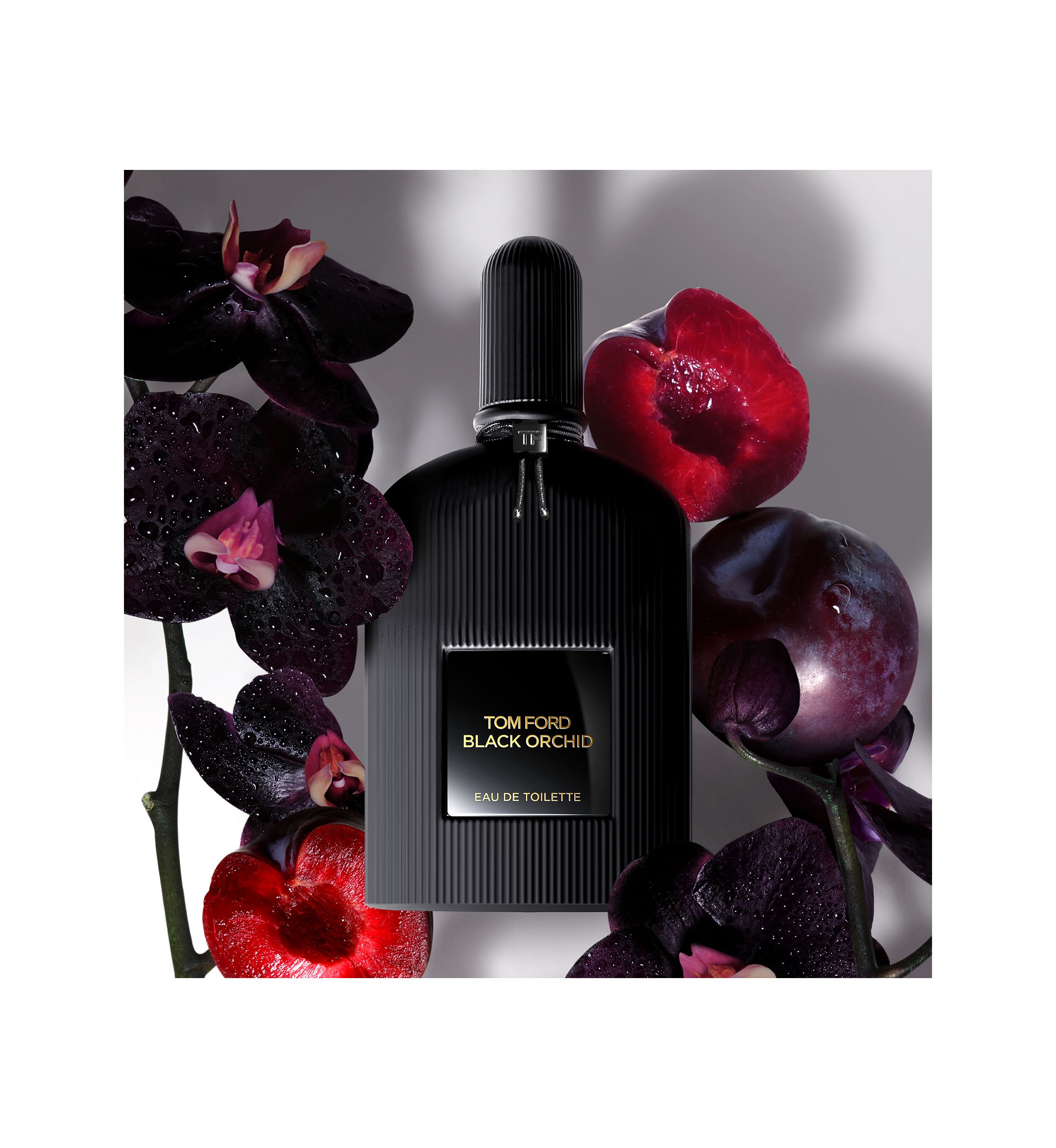Black Orchid Discovery Set of 4