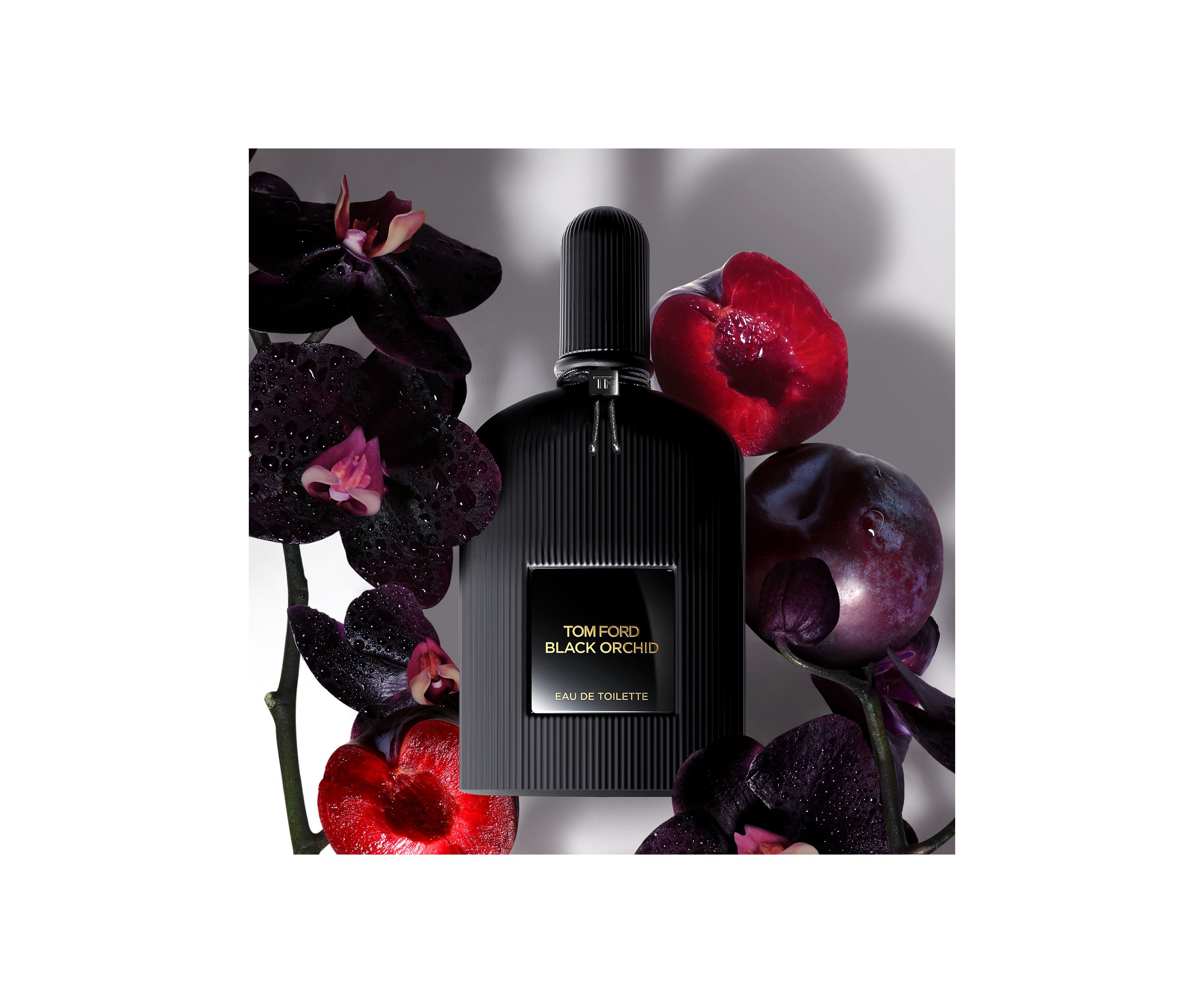 Black Orchid Discovery Set of 4